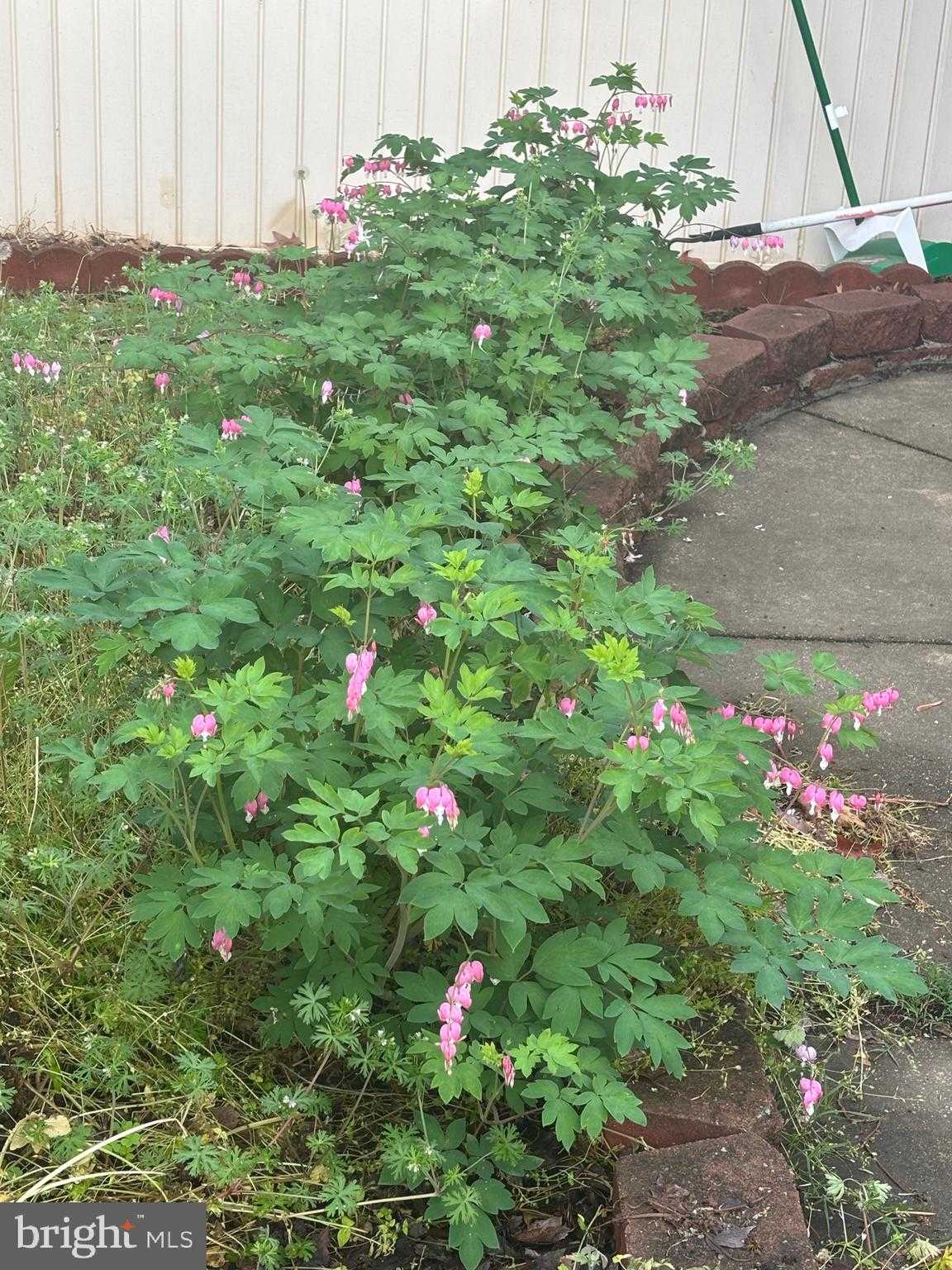 626 Clark Ave photo 59