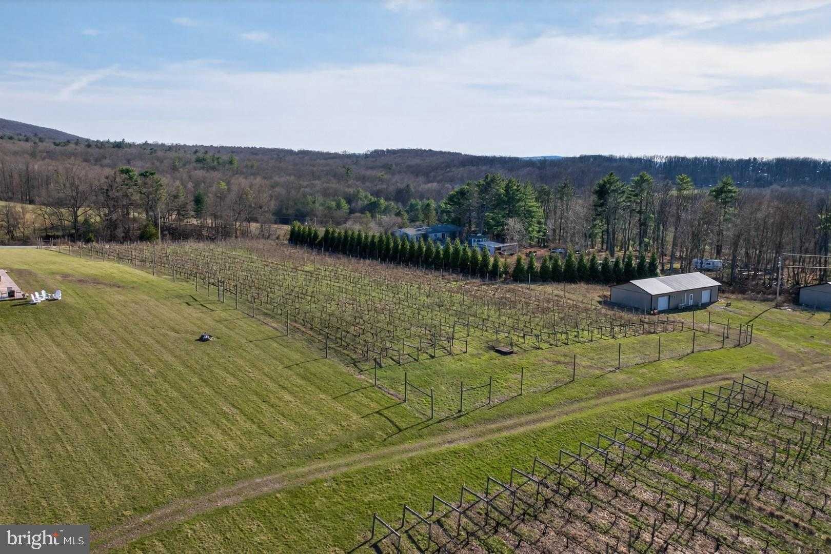 596 Harman Rd photo 27