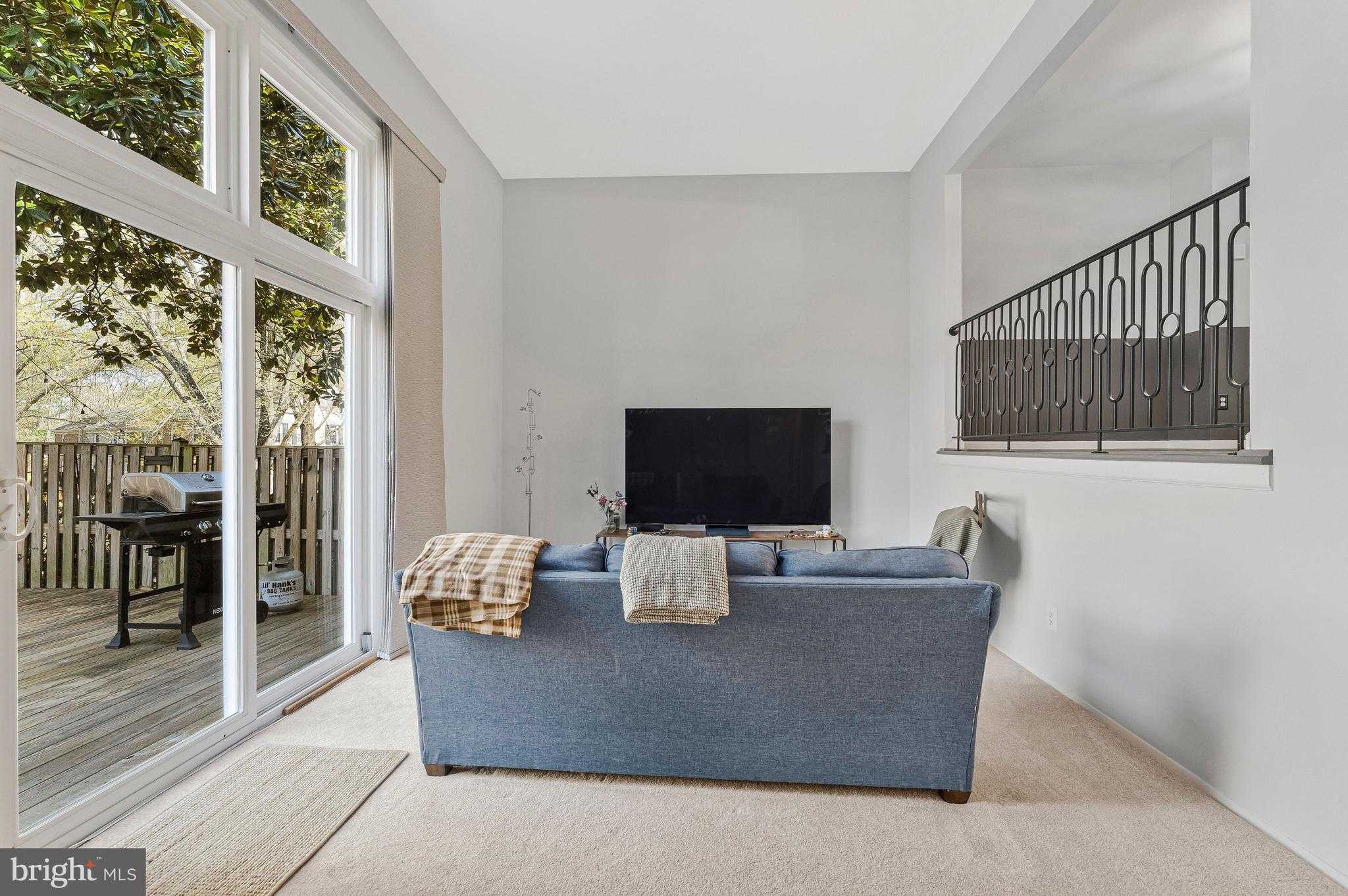 11852 Saint Trinians CT photo 13