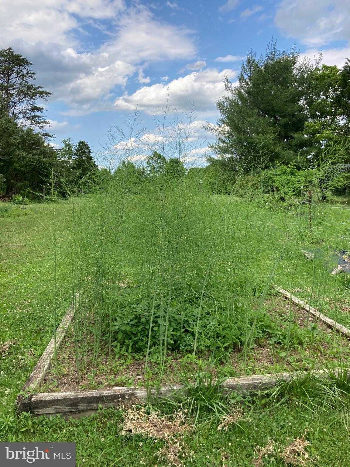 165 Wilson Burke Rd photo 24