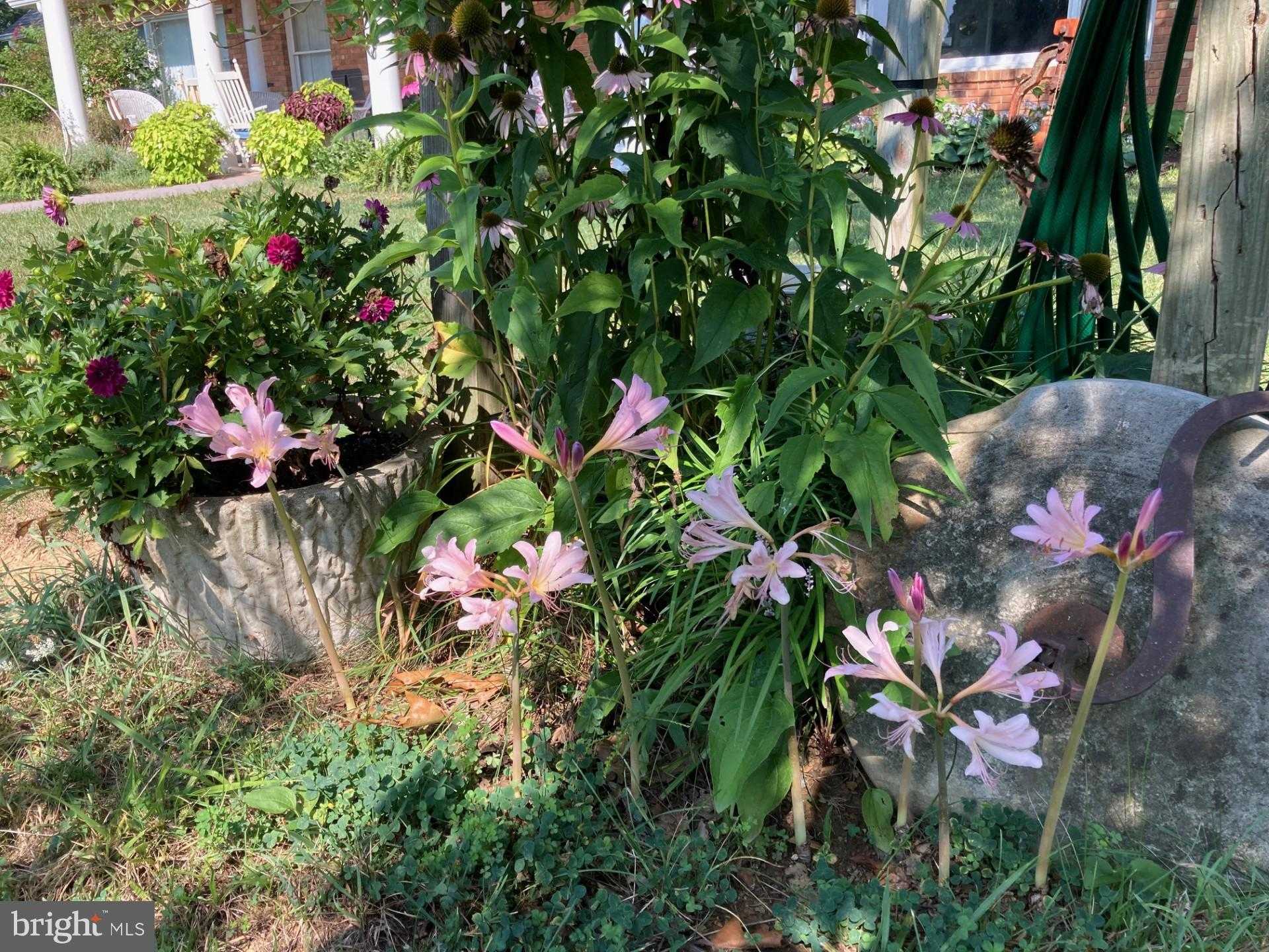 165 Wilson Burke Rd photo 30