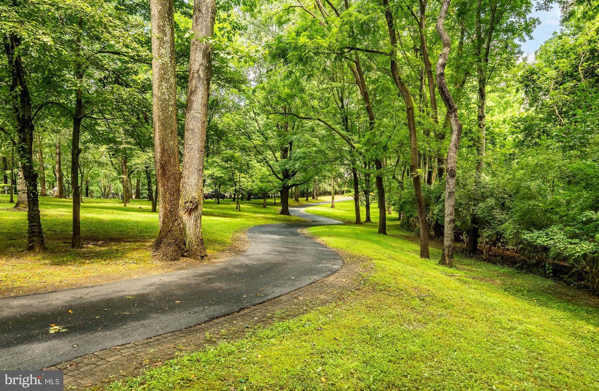 7 Bittersweet Dr photo 118