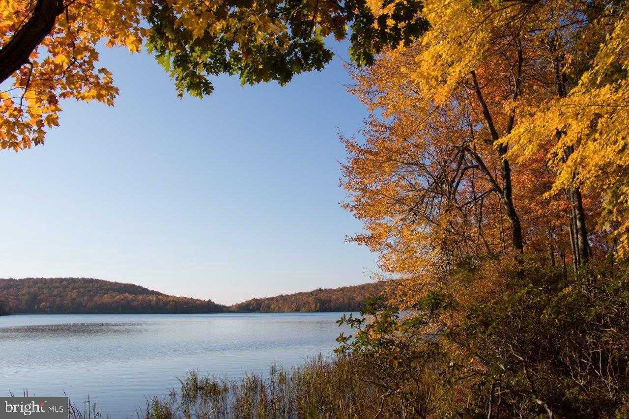 52 Laurelwoods Dr photo 66