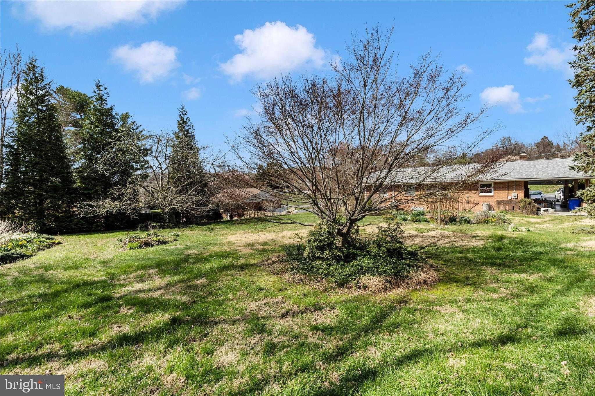 7029 Rock Creek Dr photo 27