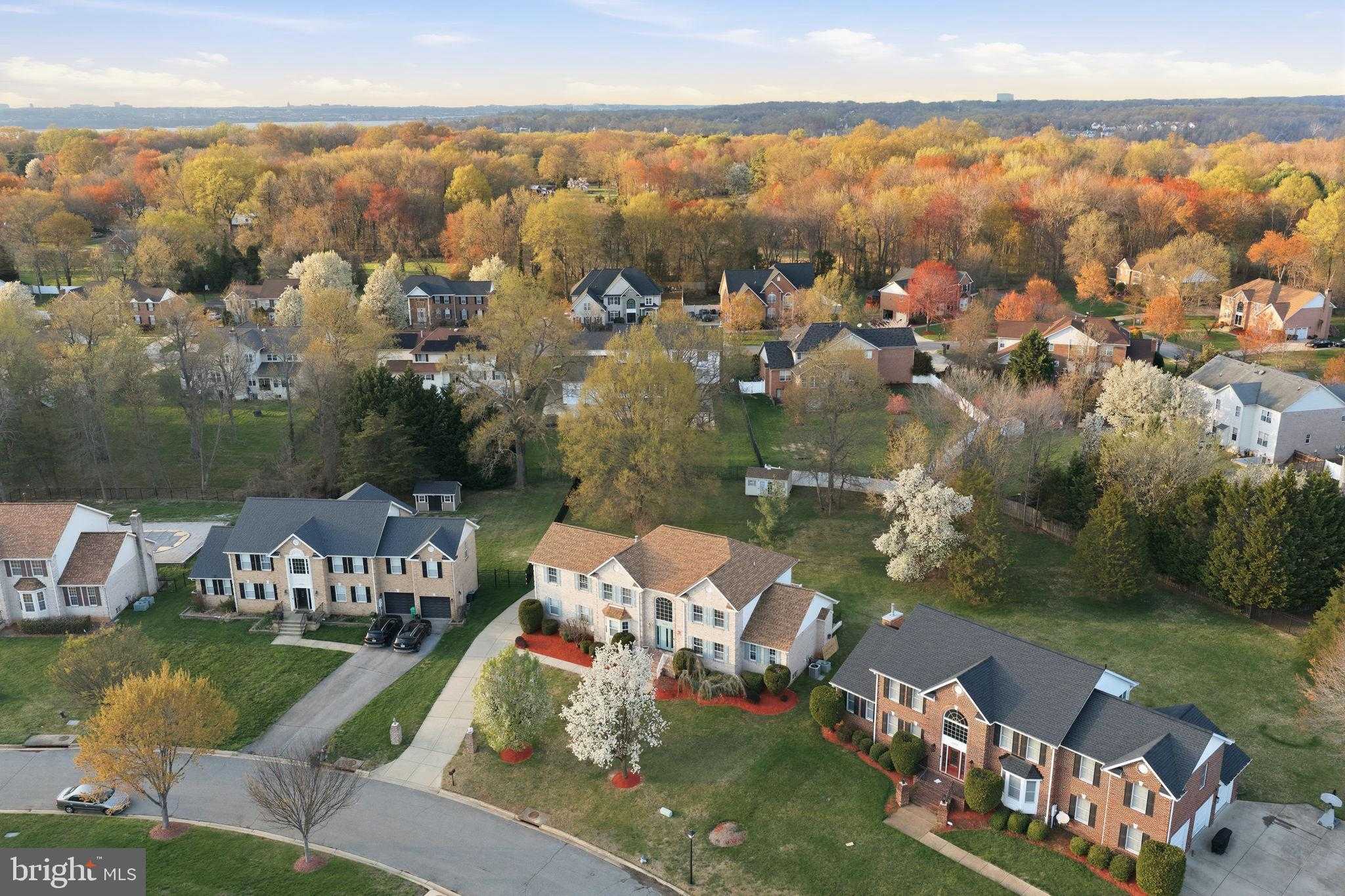 11710 Amer CT photo 48