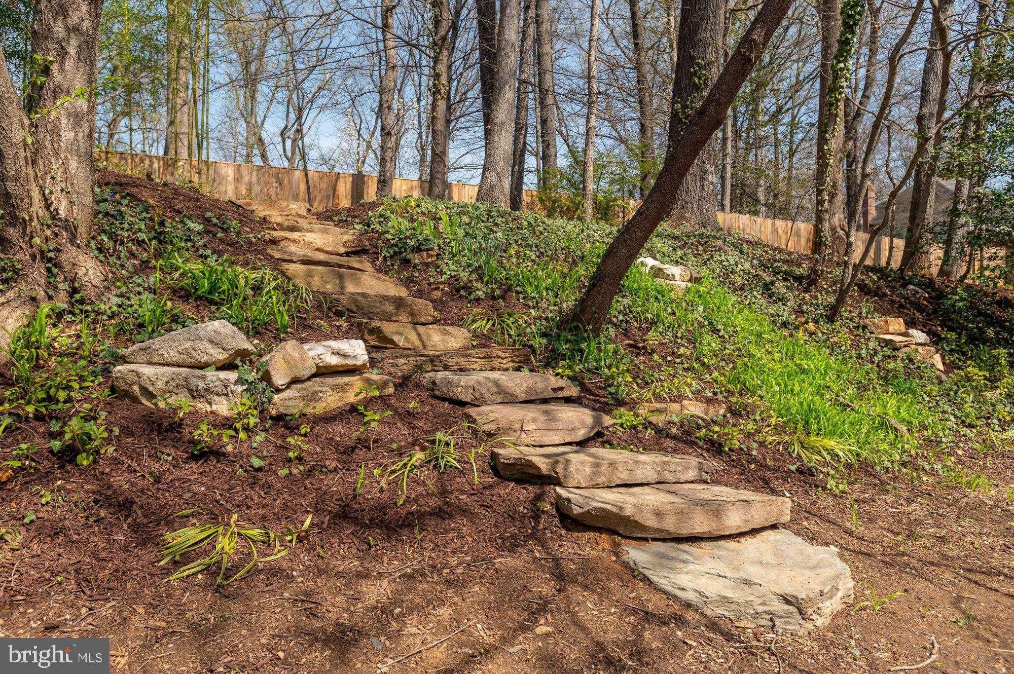 6016 Chesterbrook Rd photo 62