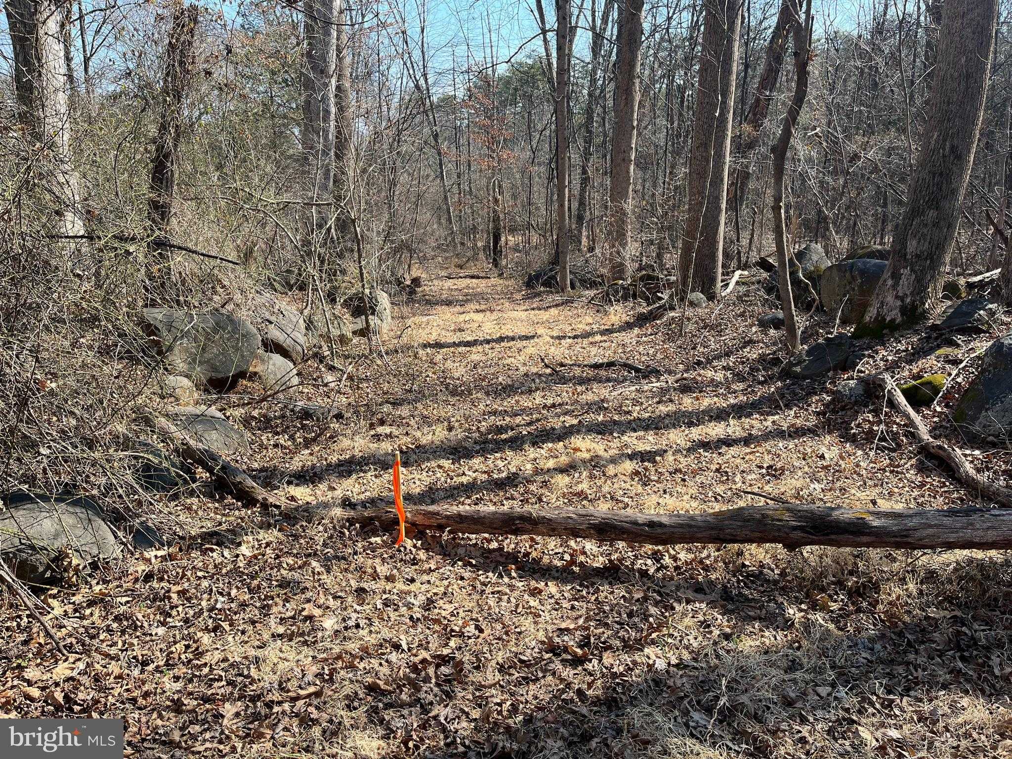 18491 Clay Hill Rd photo 4