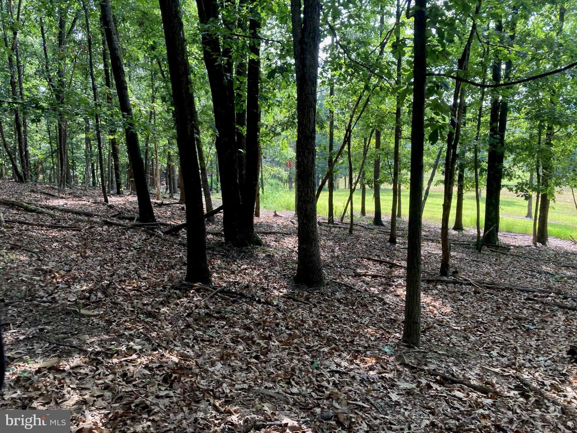 140 Light Rd photo 24