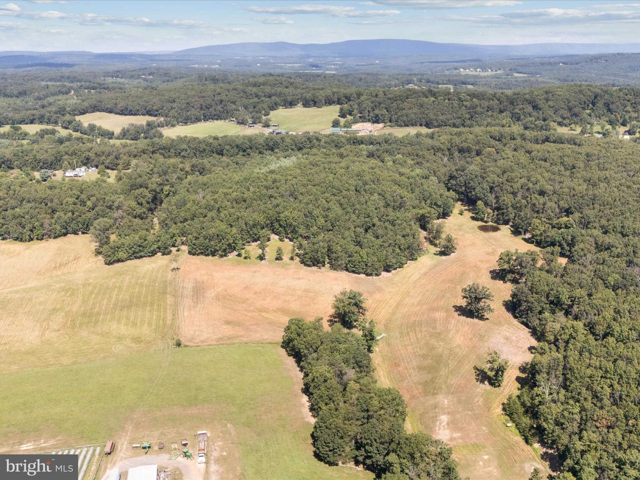 140 Light Rd photo 56