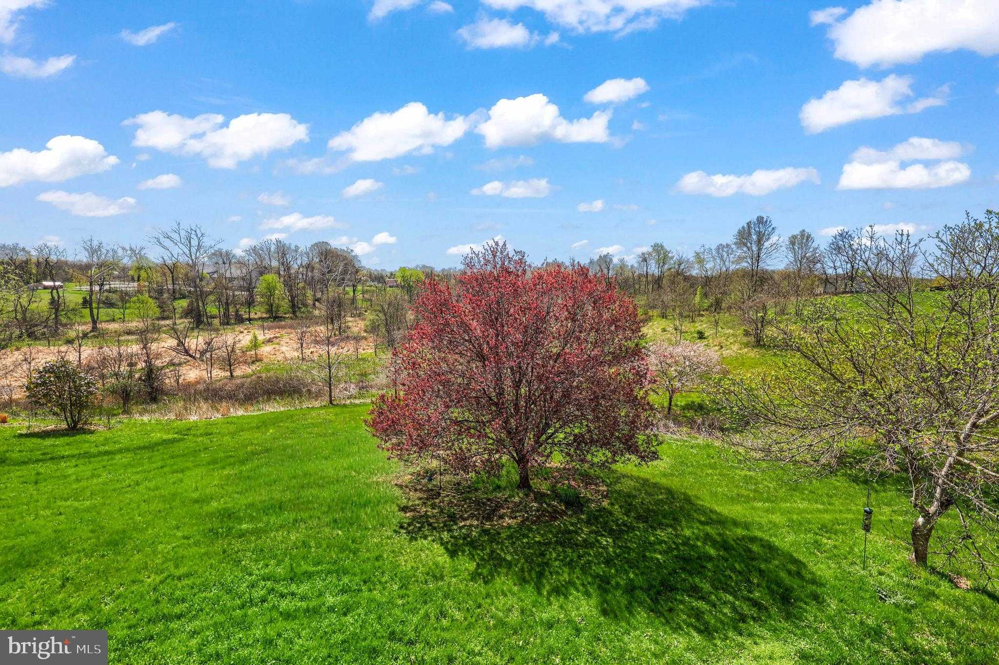 37619 Wright Farm Dr photo 69