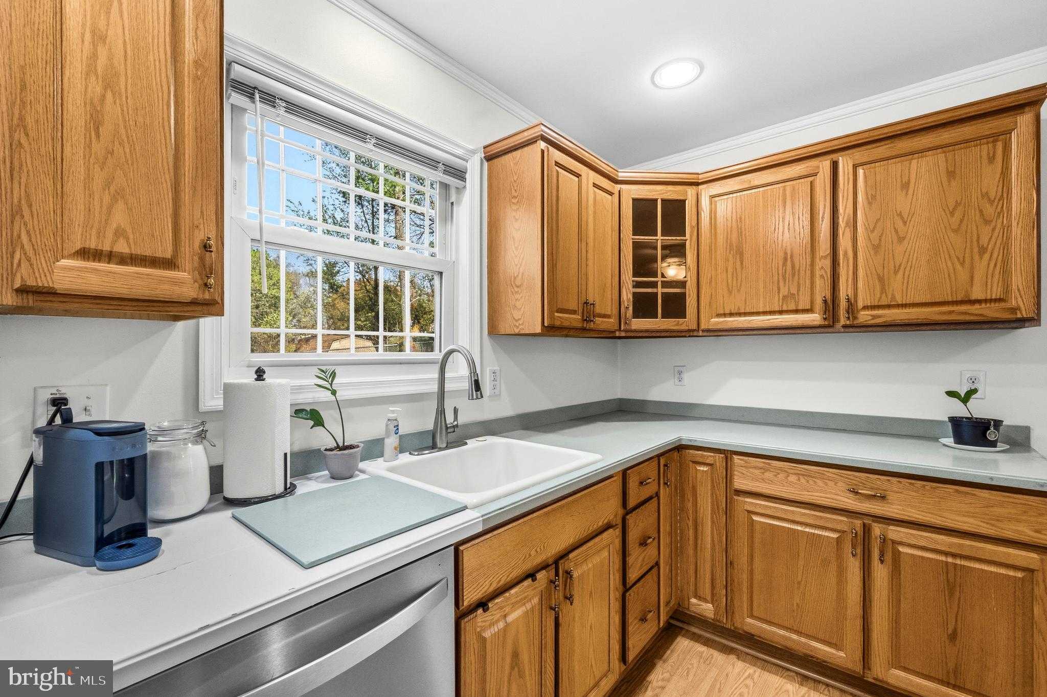 10202 Le Fevre Dr photo 15