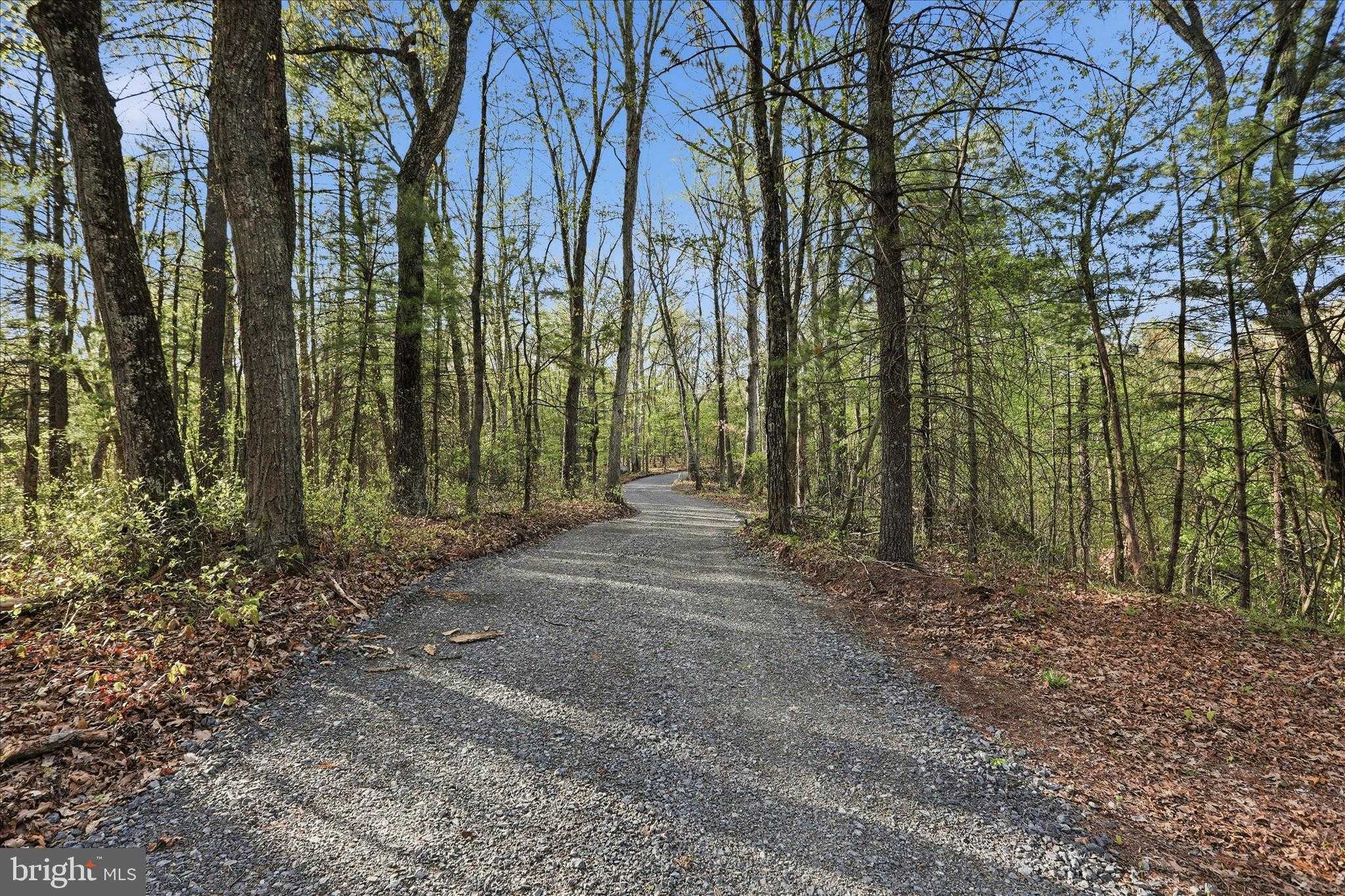 173 Dead End Ln photo 3