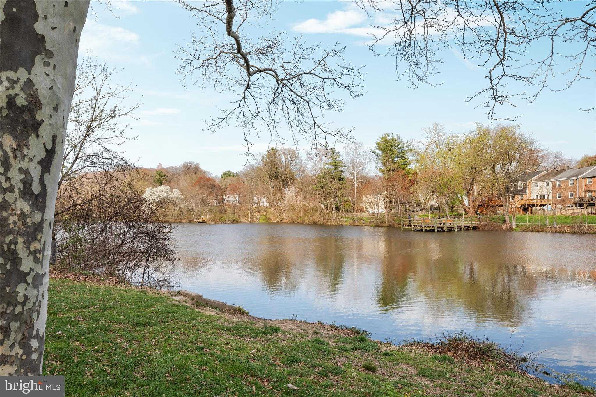 5673 Phelps Luck Dr photo 46