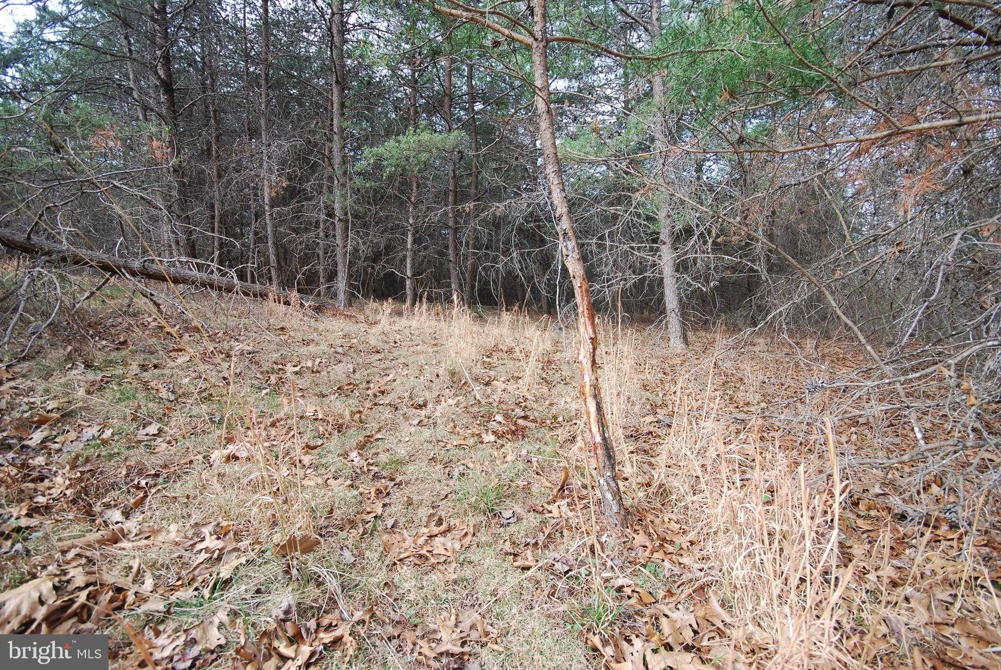 265 Lynch Ln photo 32