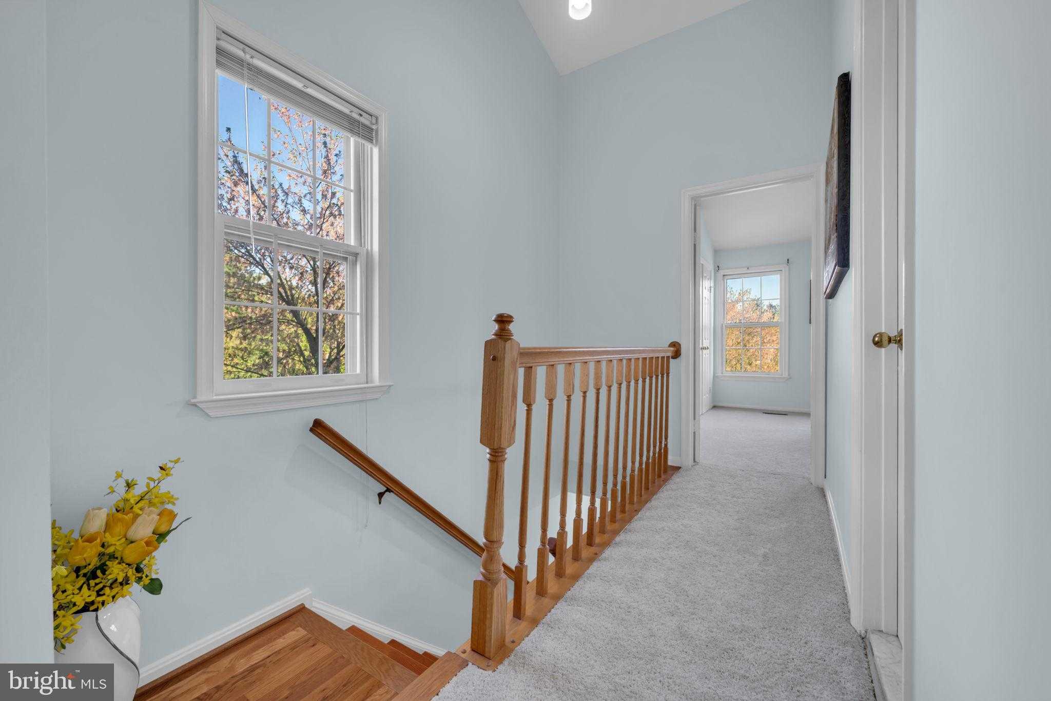 13828 Coleman CT photo 29