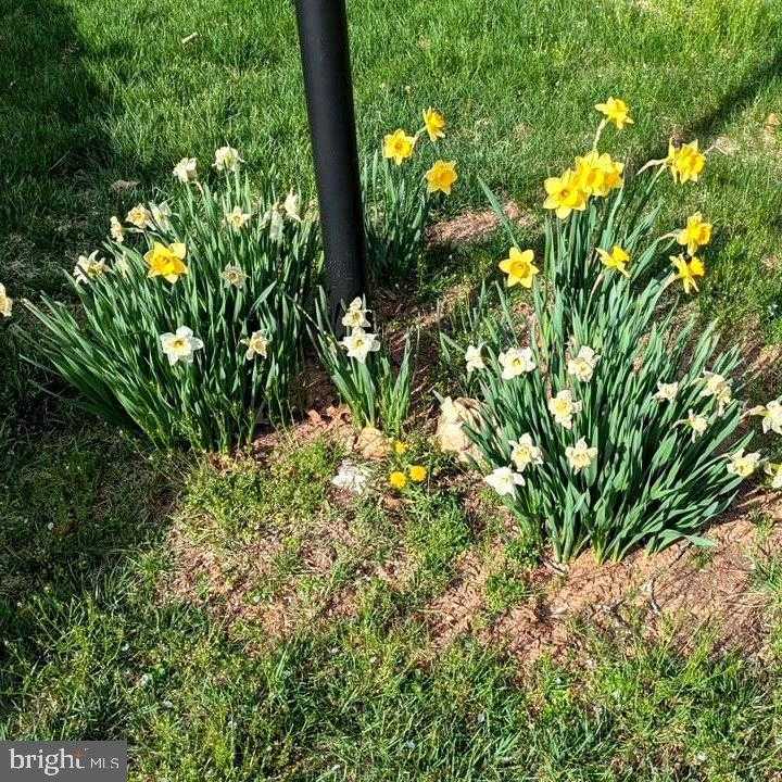 3713 King William Dr photo 46