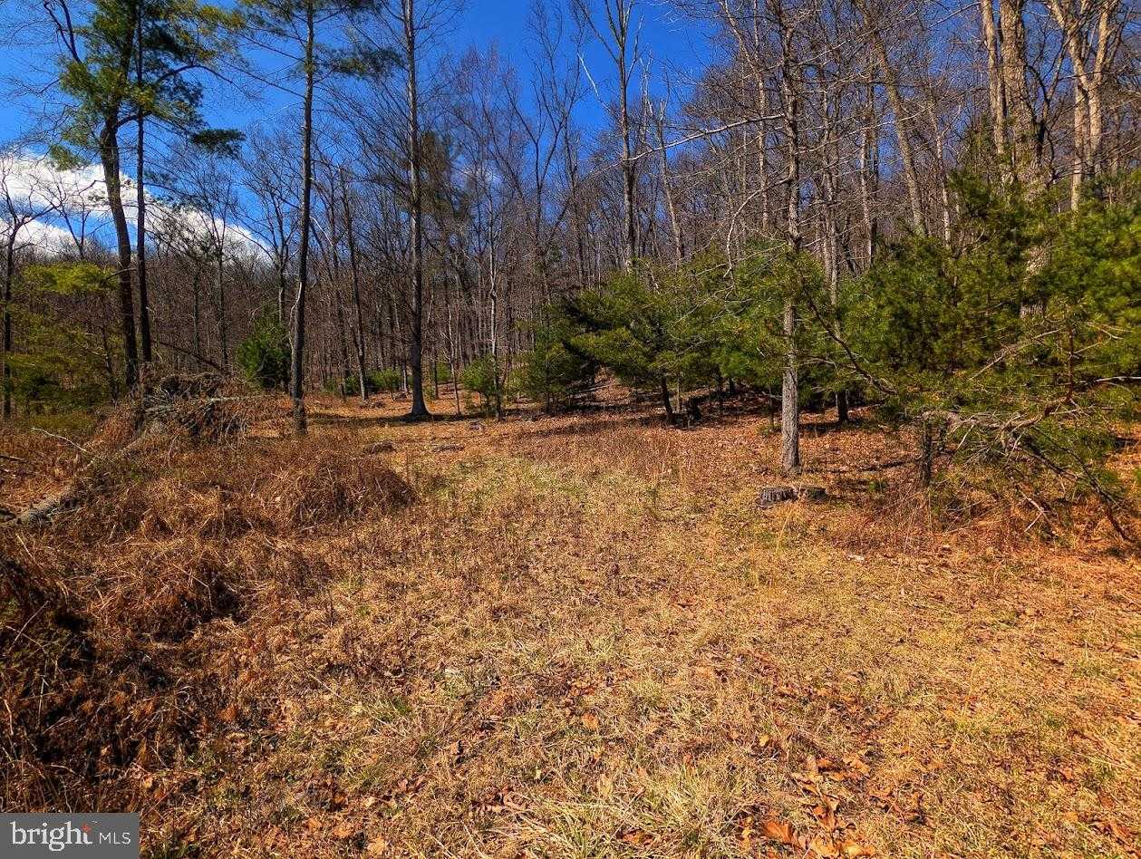 364 Valentine Acres Rd photo 71