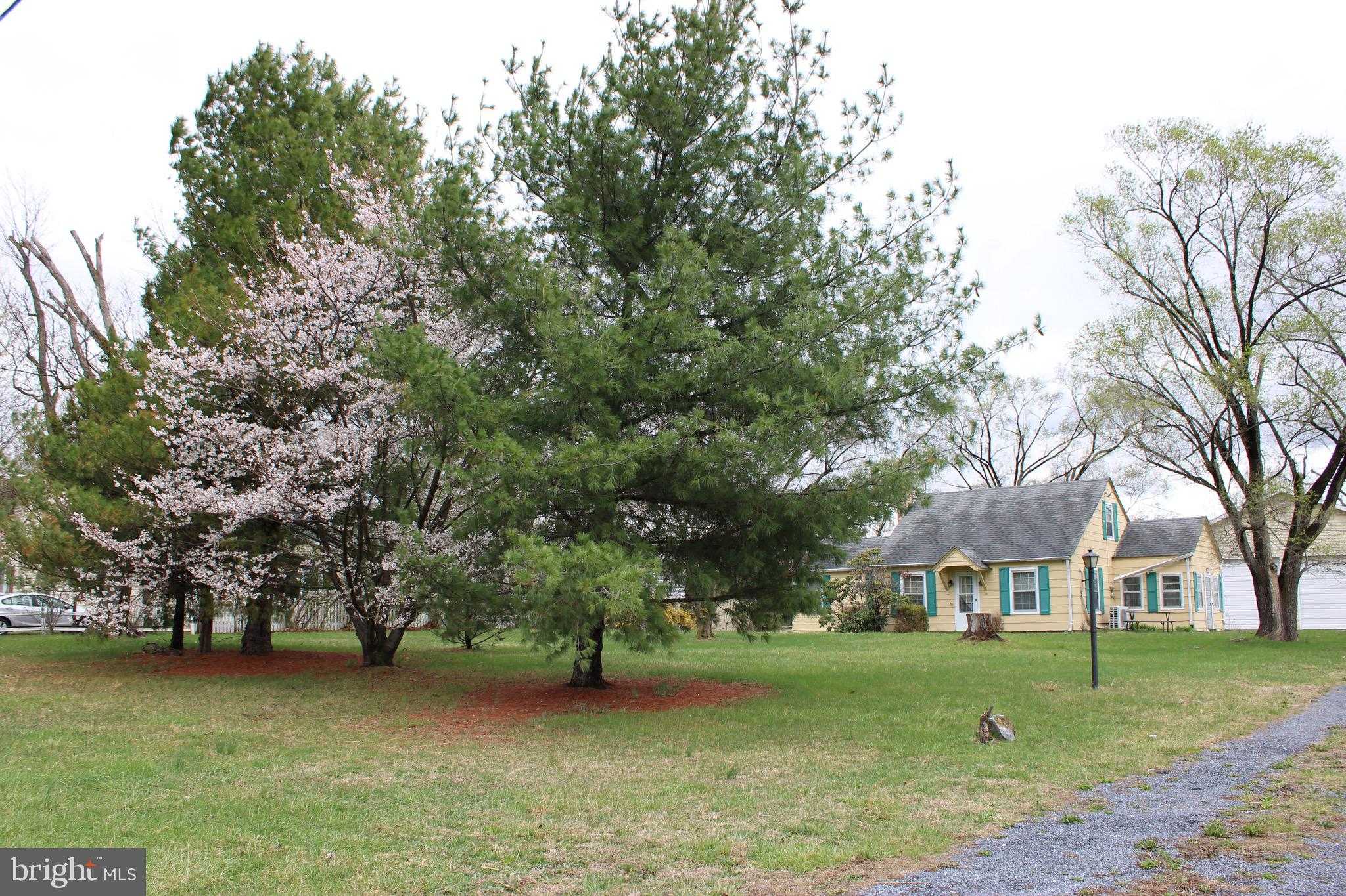 10123 Winchester Ave photo 4