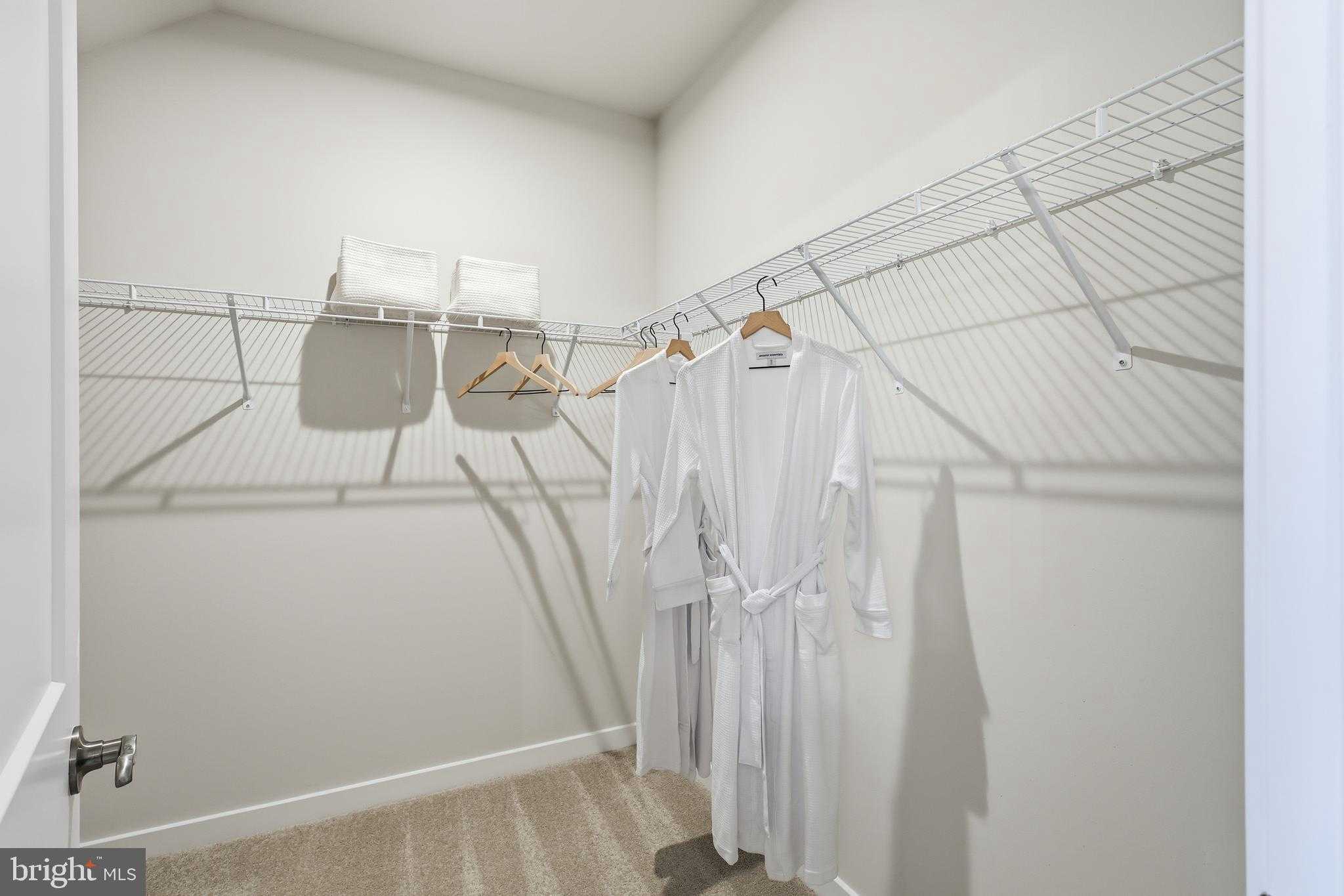 Williams Ct photo 20