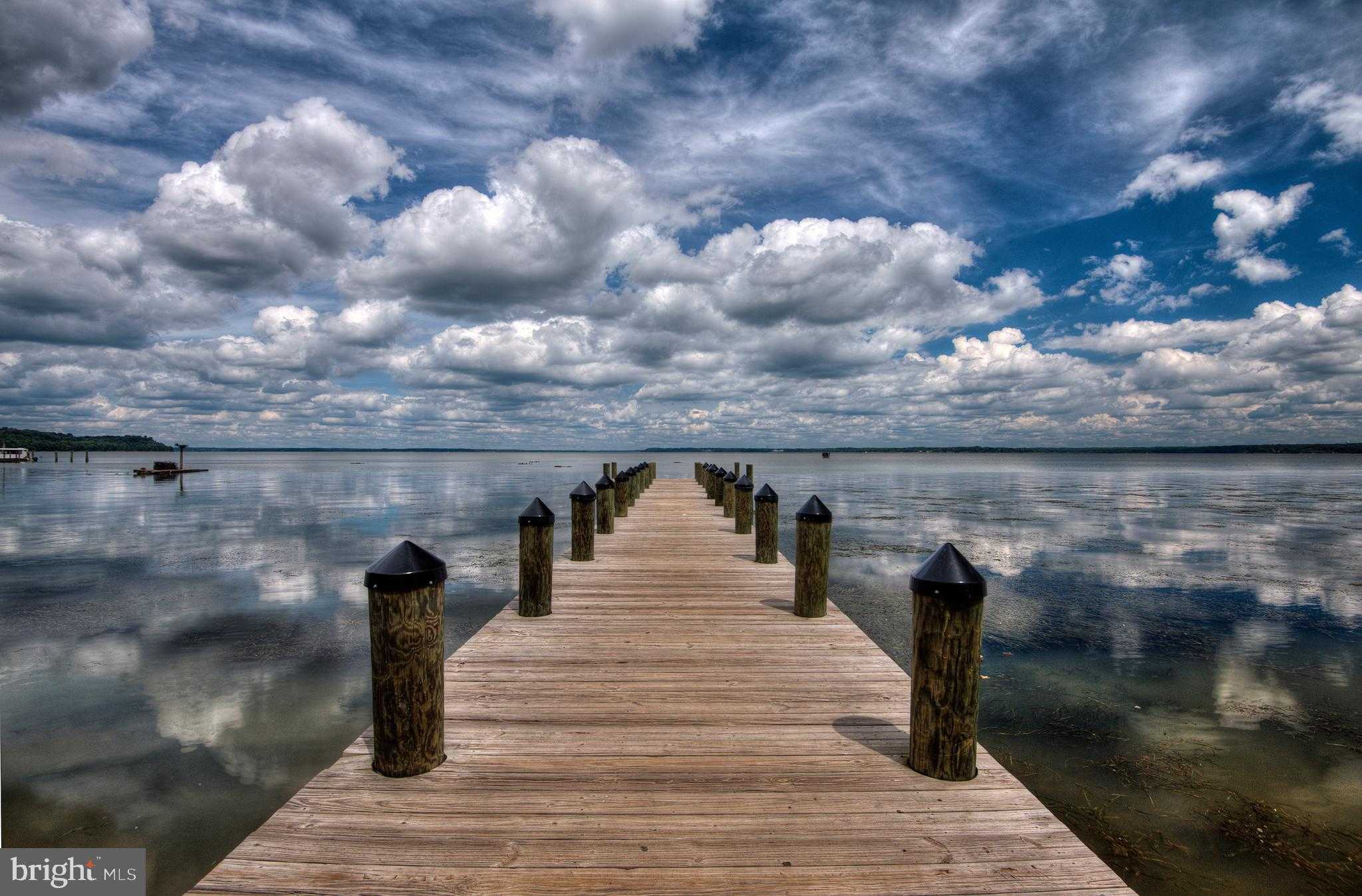 Williams Ct photo 32