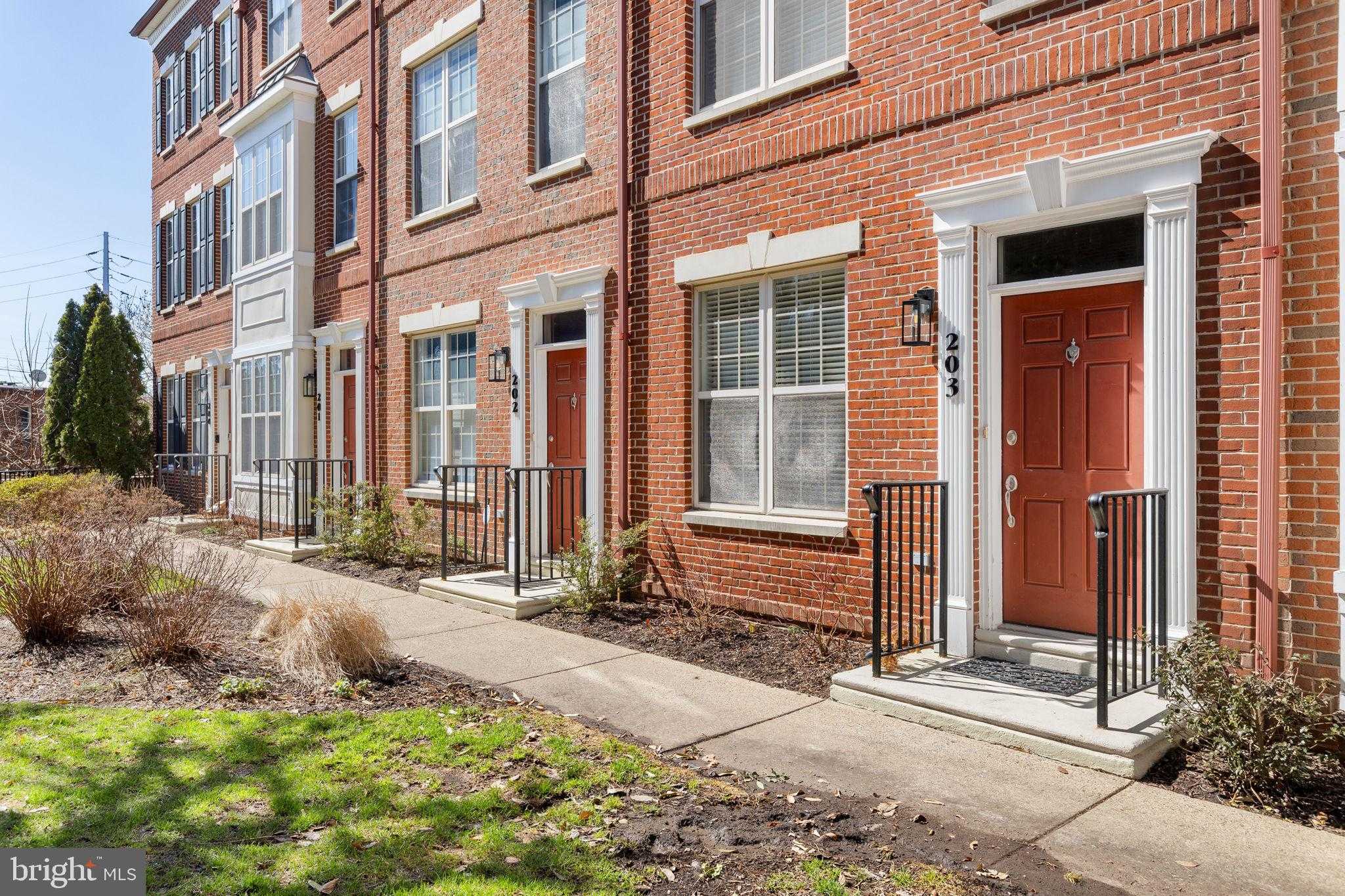 203 Surgeon Generals CT