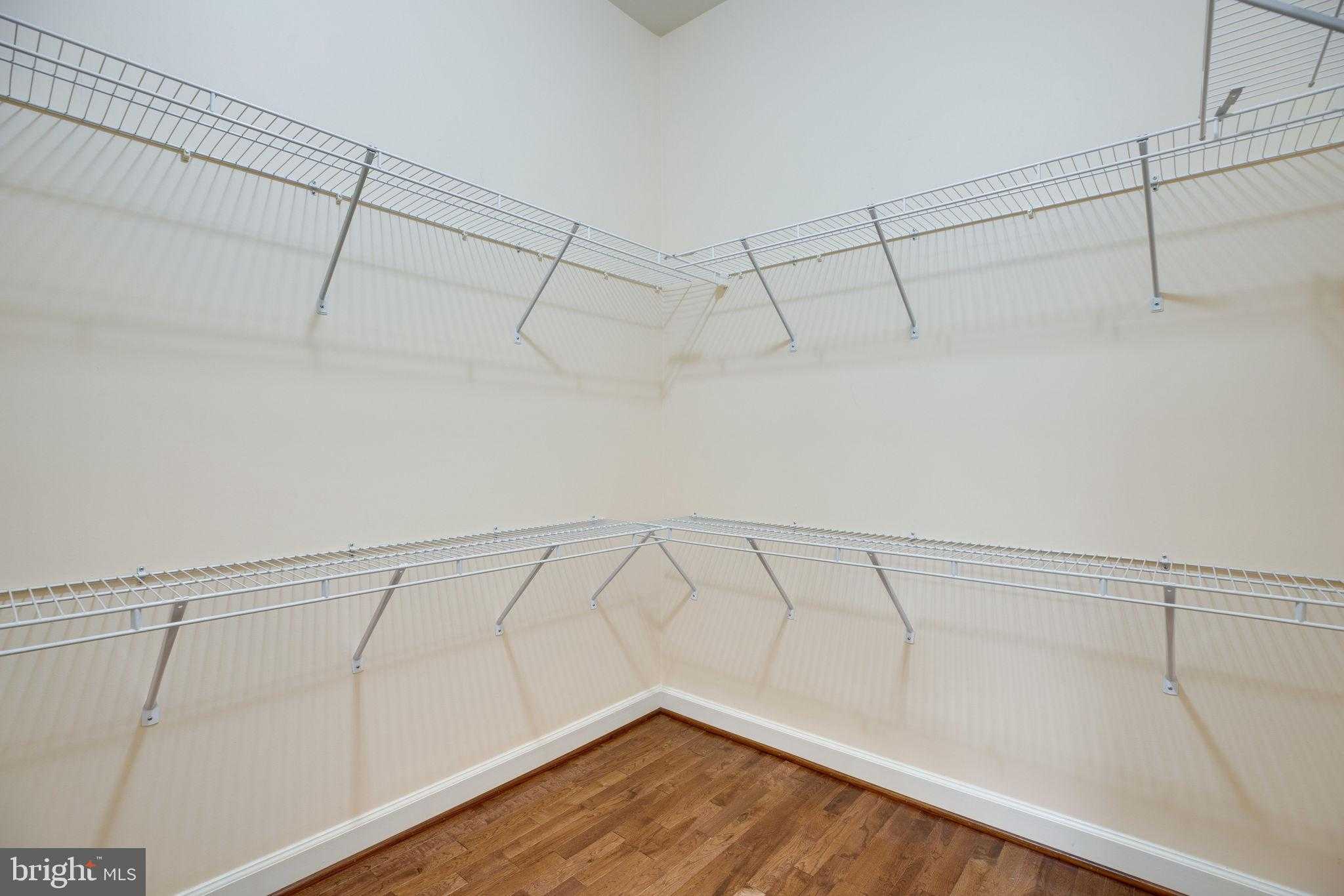 25283 Connor CT photo 30