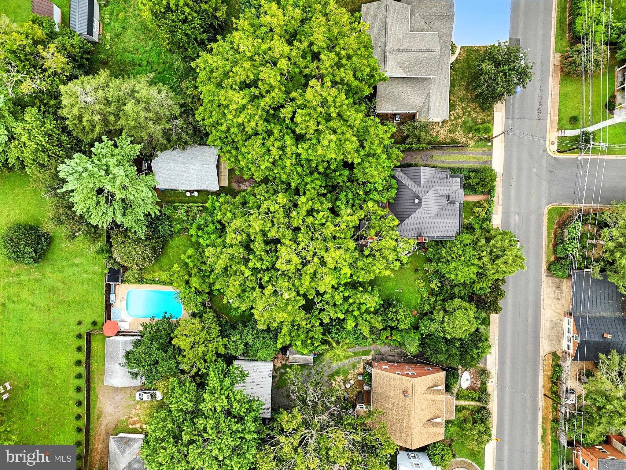 802 S Blue Ridge Ave photo 3