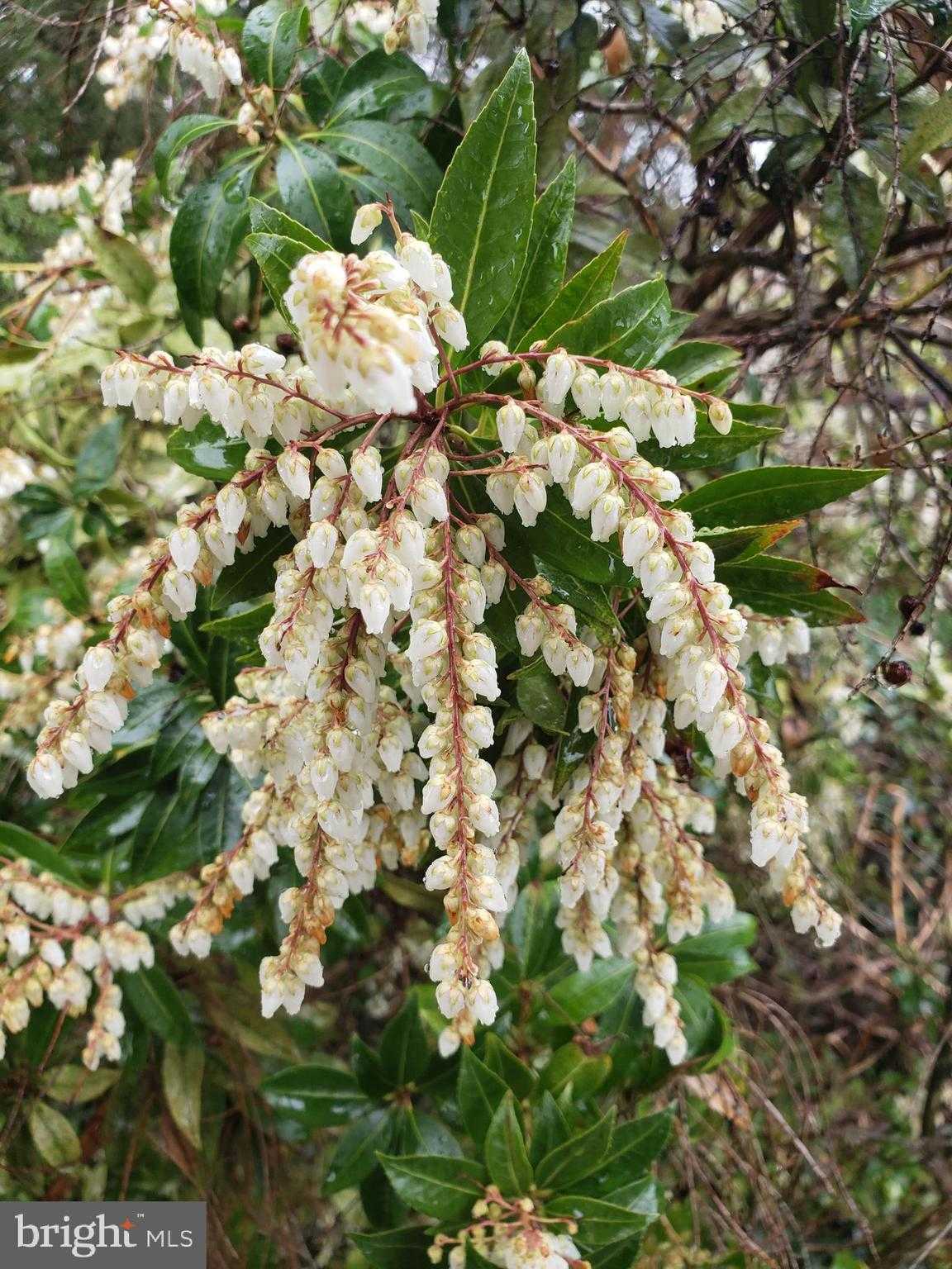 802 S Blue Ridge Ave photo 85