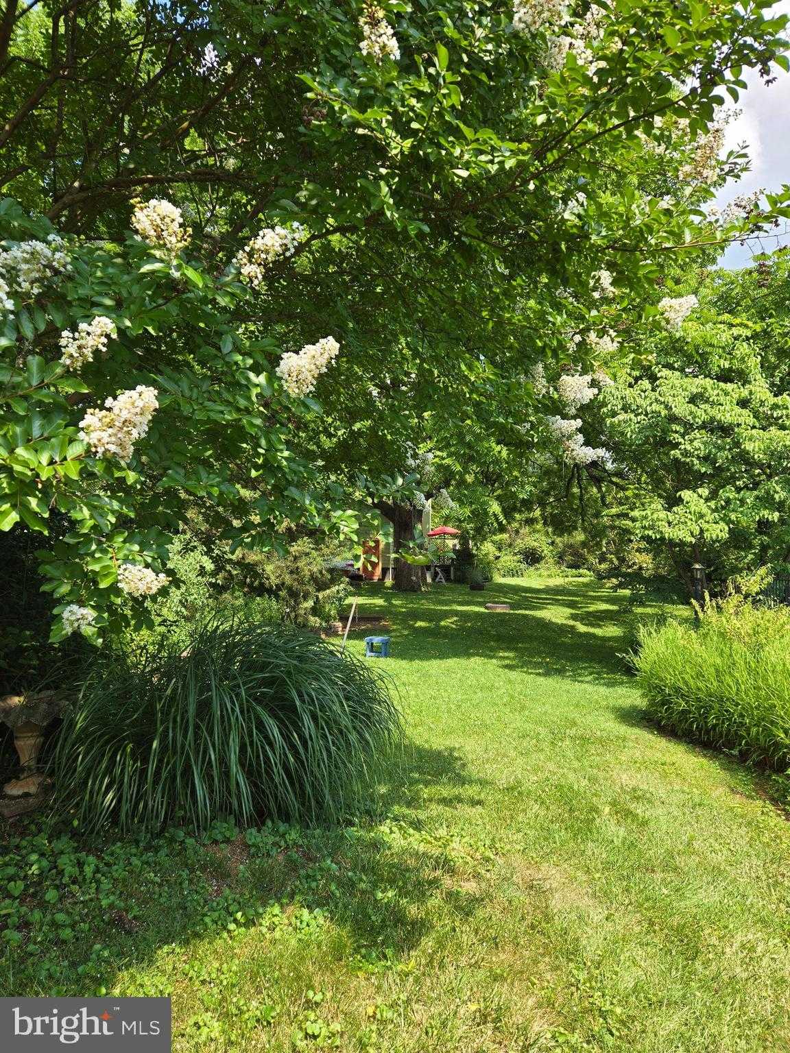 802 S Blue Ridge Ave photo 87