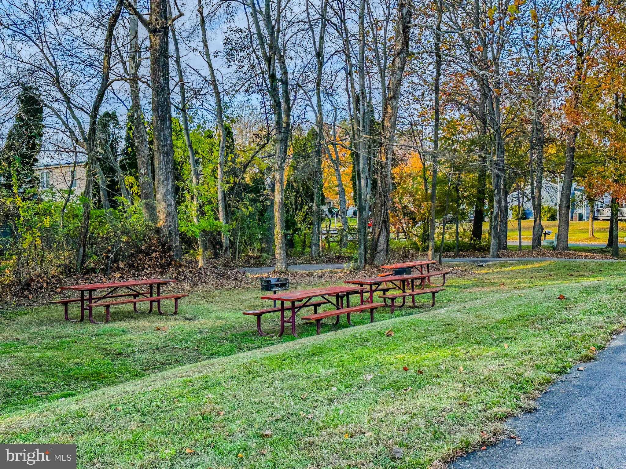 4027 Caribon St photo 49