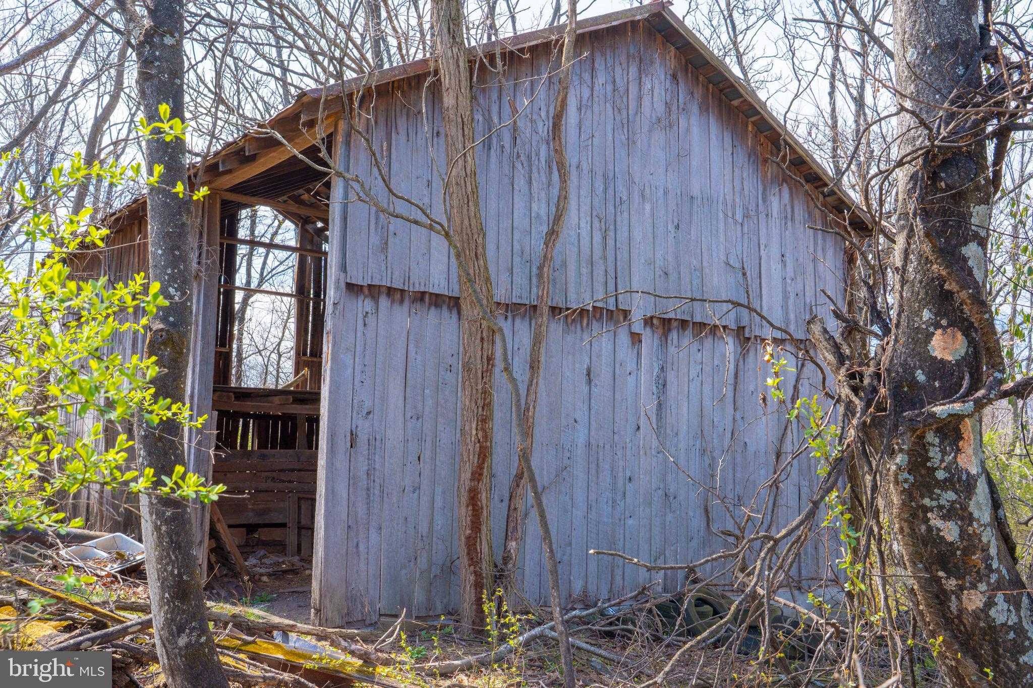 Frederick Ave photo 2