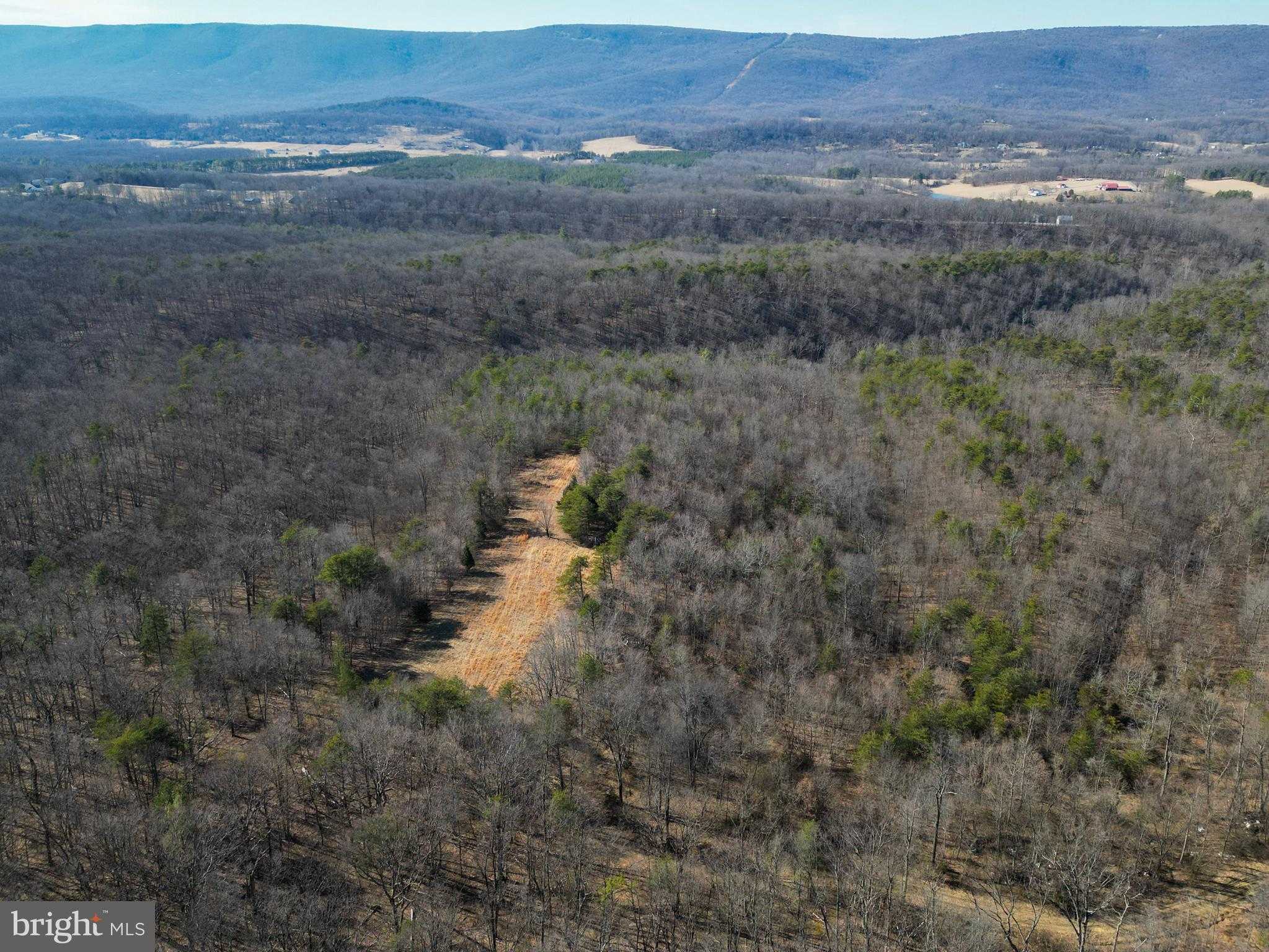 Frederick Ave photo 35