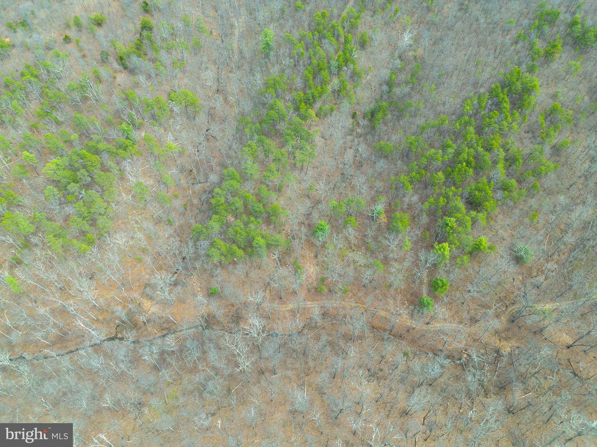 Frederick Ave photo 48