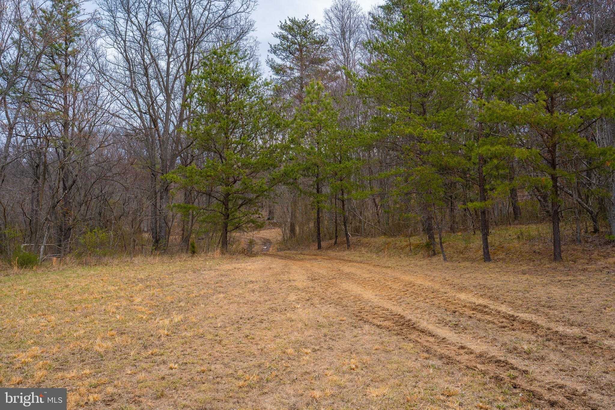 Frederick Ave photo 8