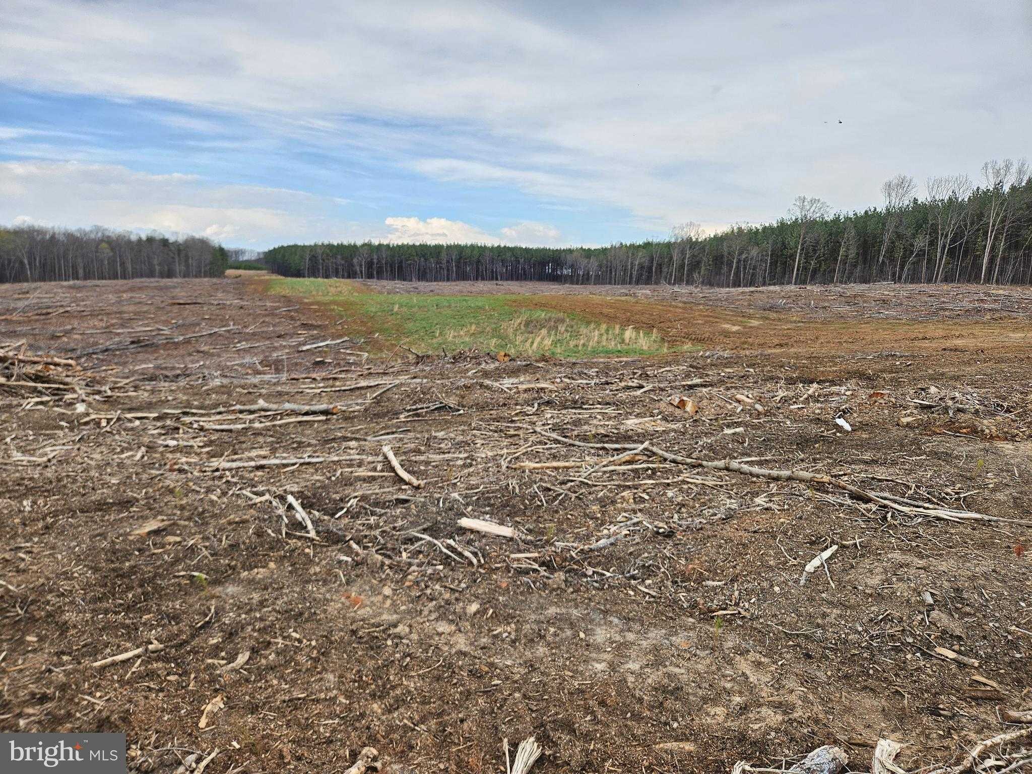 83 River Bend Ln photo 11