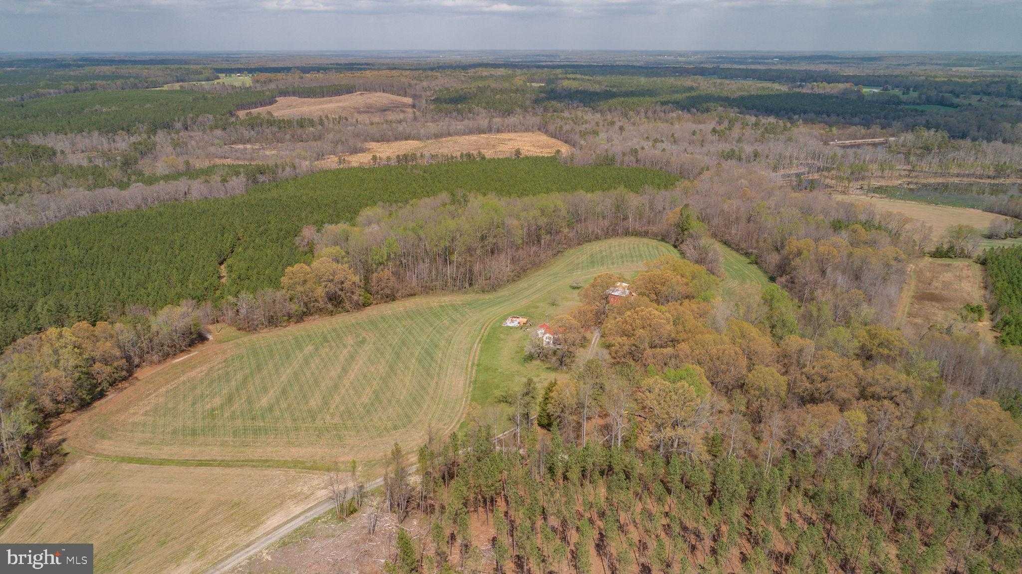 23205 Carneal Ln photo 11