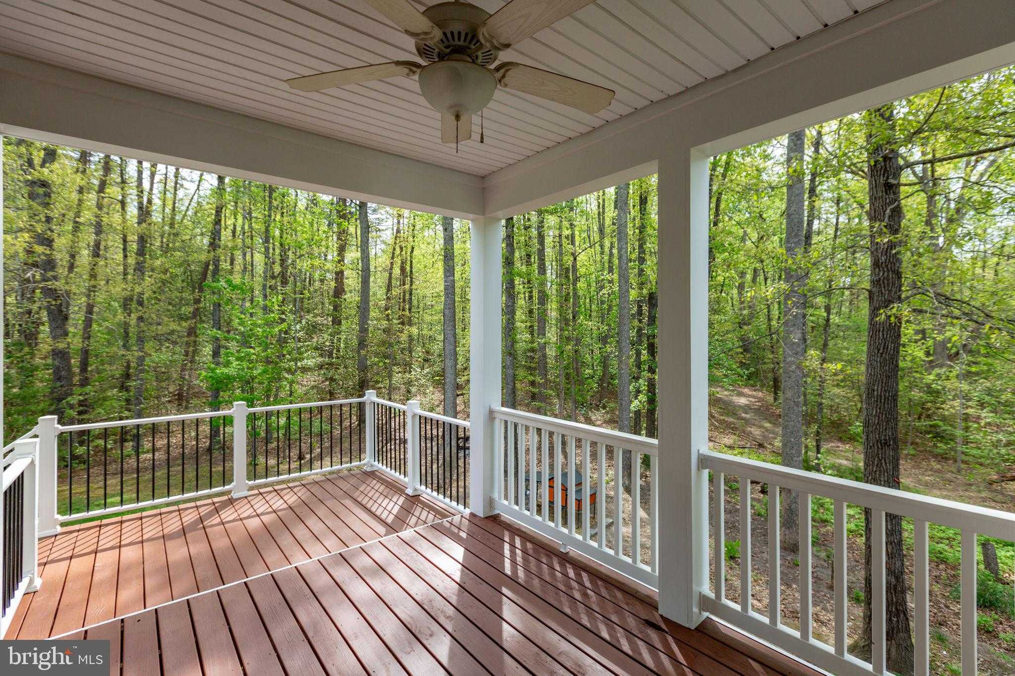 2518 Regency Dr photo 41