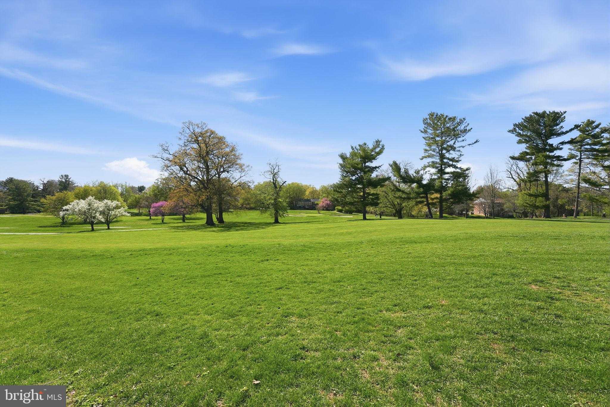 11556 Links Dr photo 39