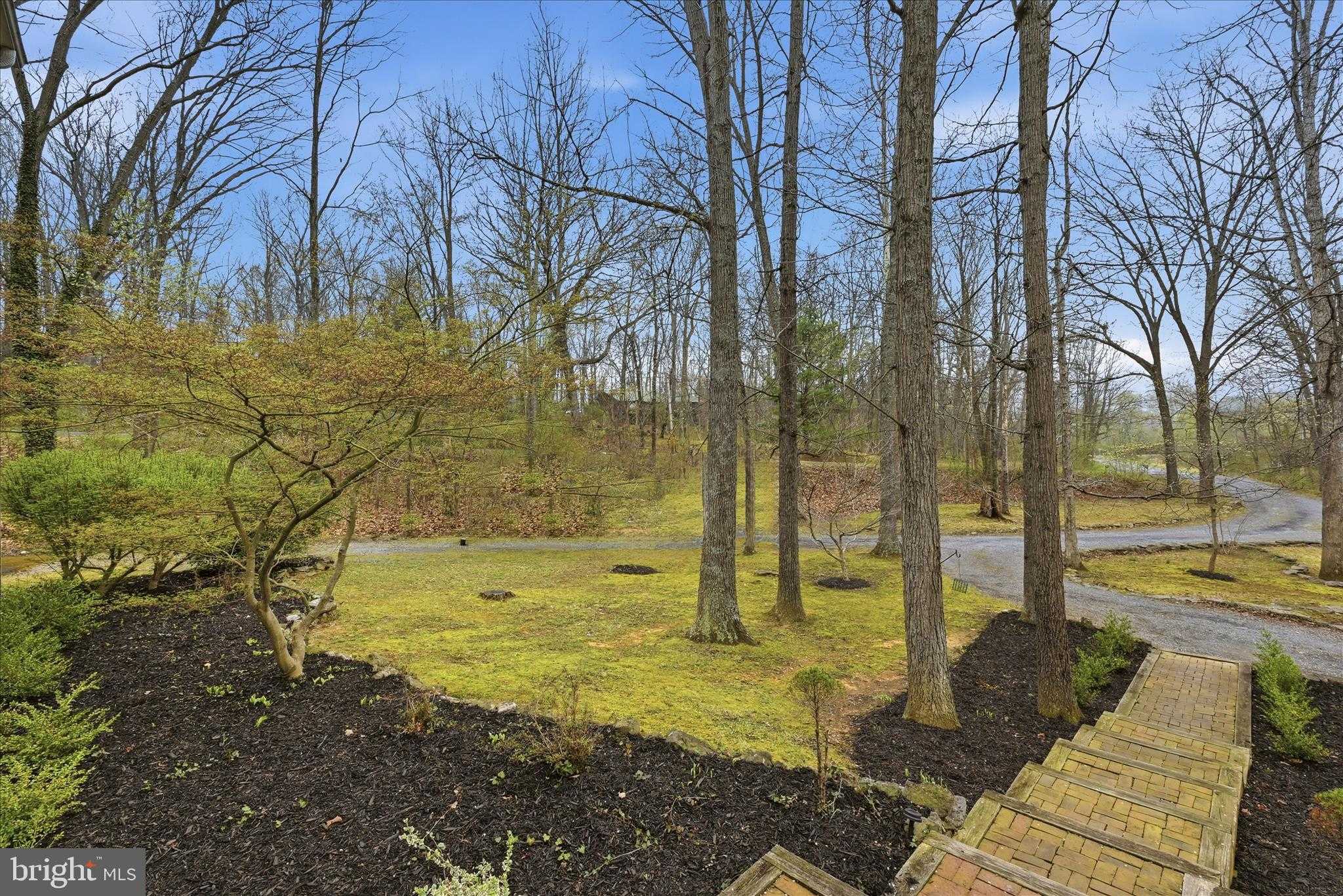 256 Brookneil Dr photo 7