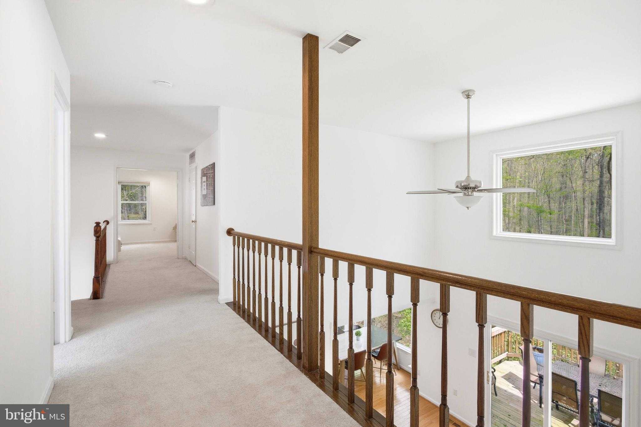 11467 Meath Dr photo 19