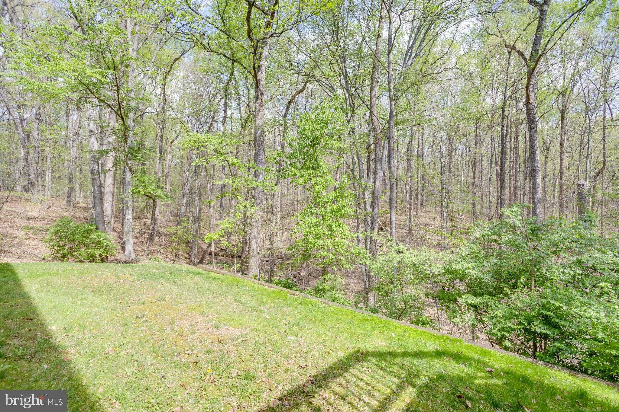 11467 Meath Dr photo 36