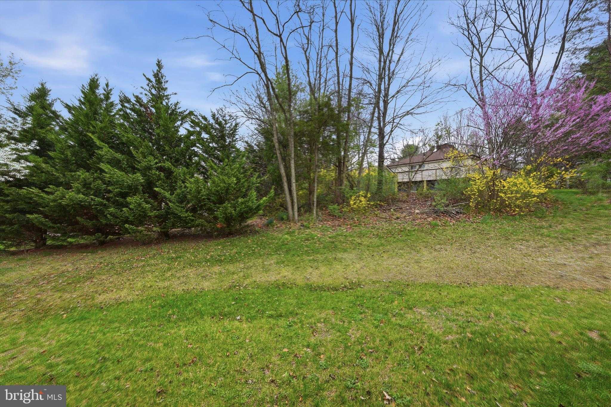 114 Masters Dr photo 43