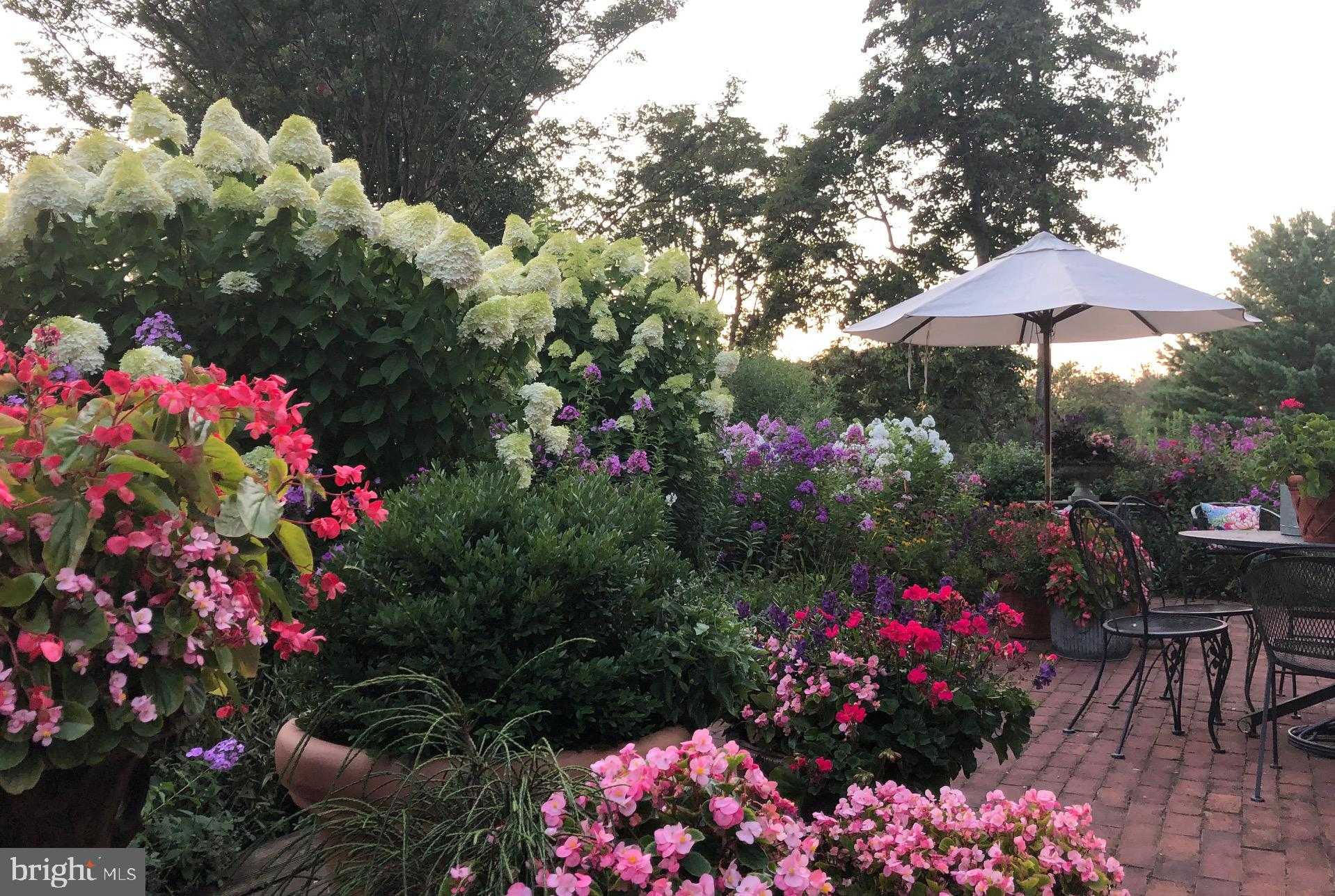 14200 Rover Mill Rd photo 7