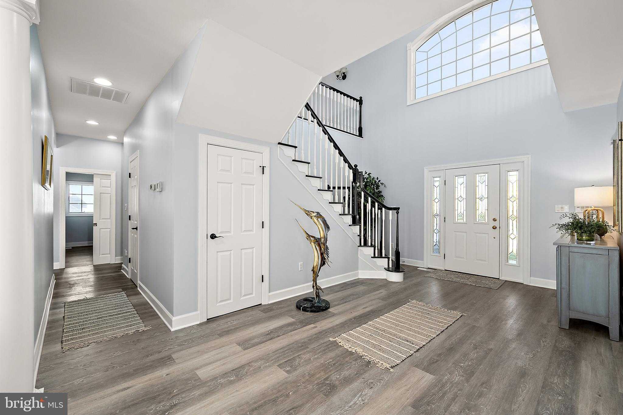 8 Leslie Mews photo 6