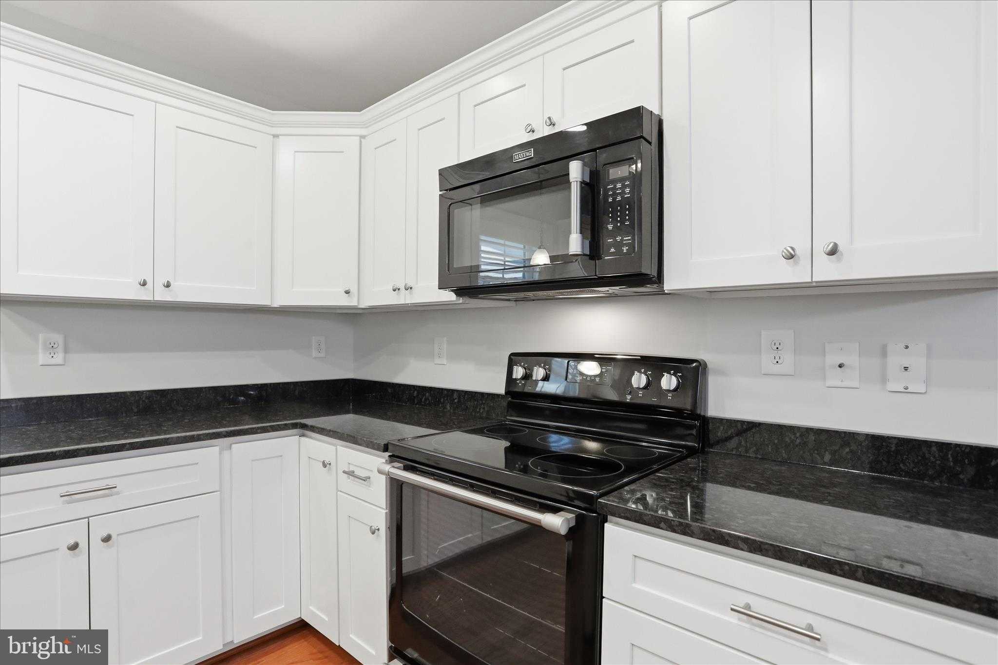 9723 Cobble Stone CT photo 5