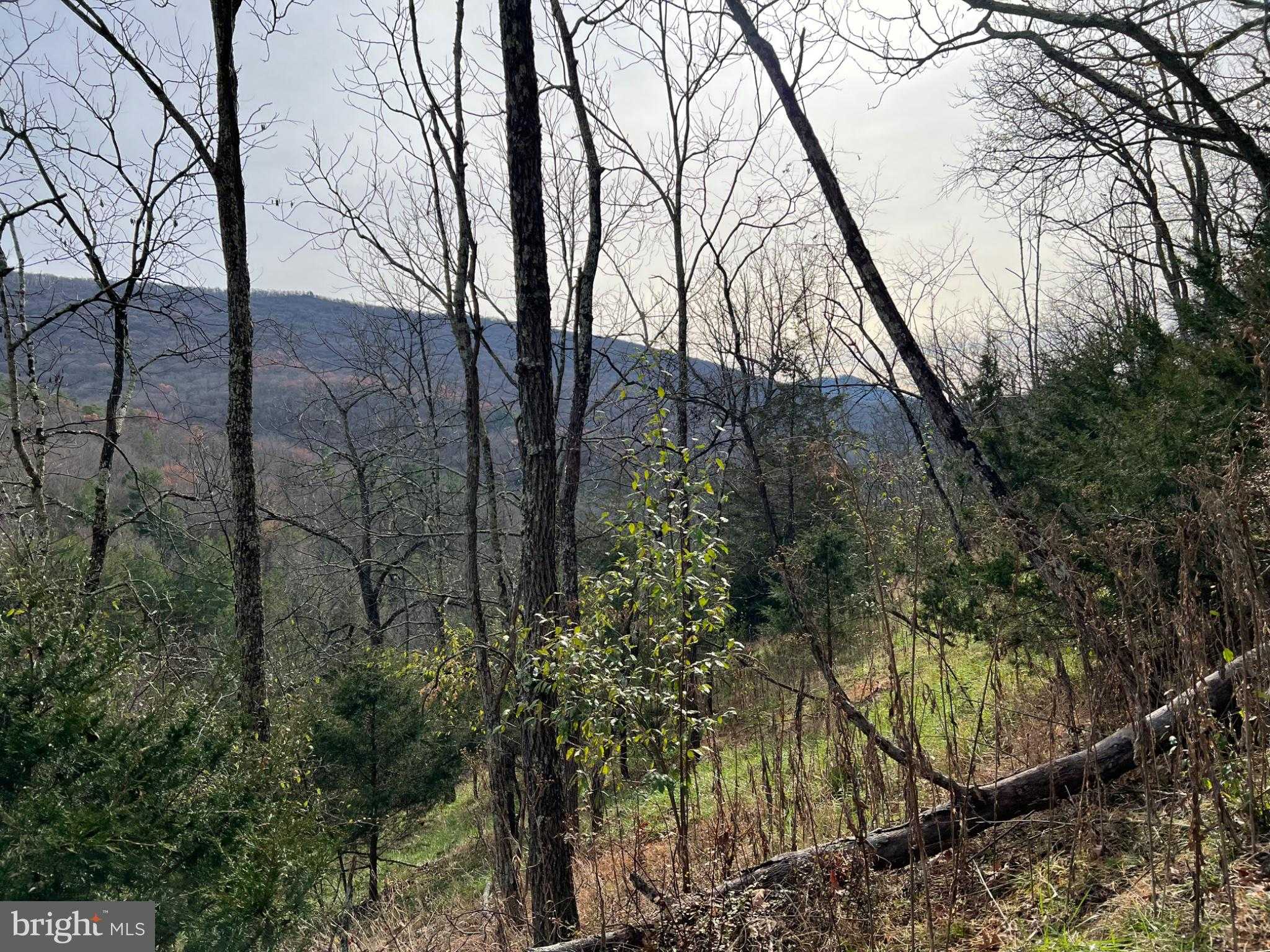 656 Wildlife Dr photo 69