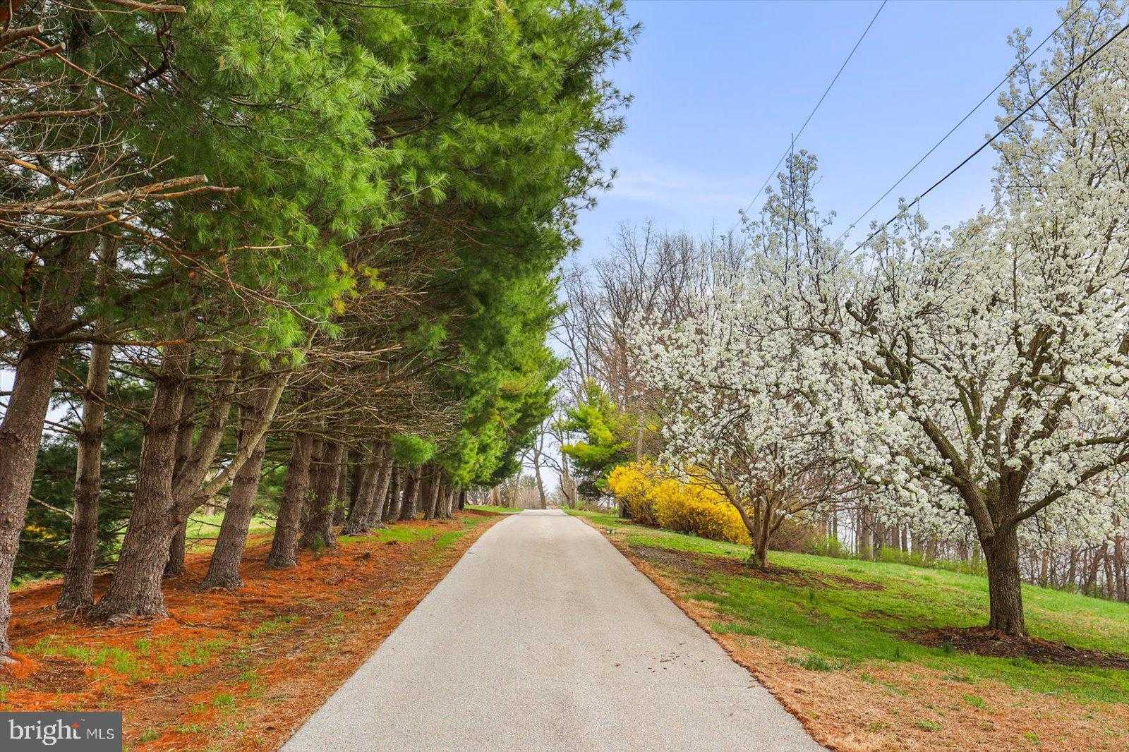 6759 Moulstown Rd E photo 3