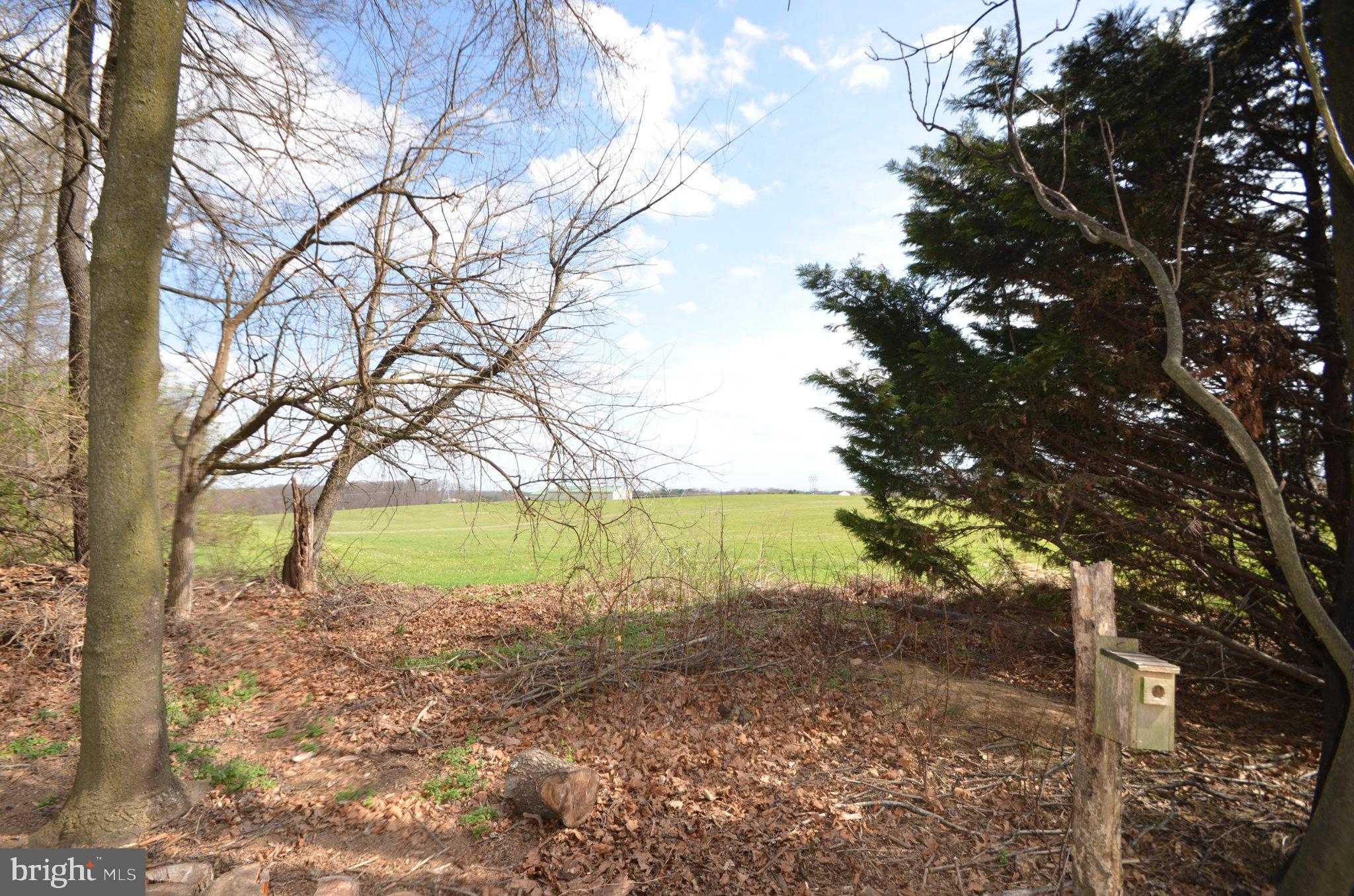 901 Lee Ave photo 17