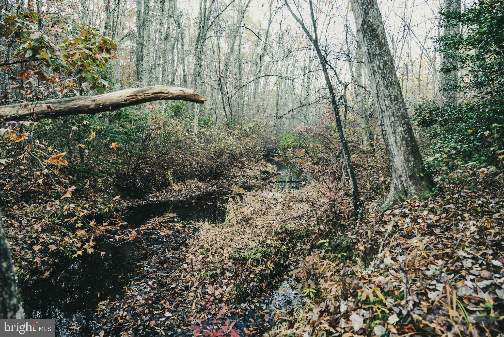 12600 W Catharpin Rd photo 41