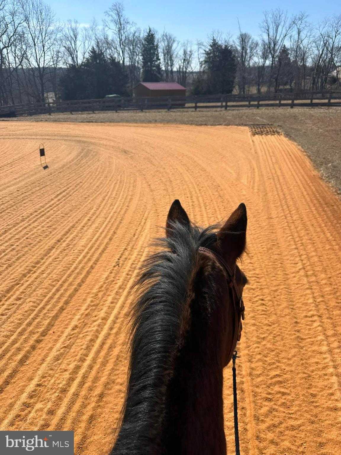 3054 Whiteford Rd photo 49